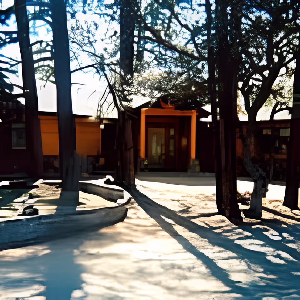 Outdoor view of Pineview Adult Care Home showing the entrance surrounded by trees casting shadows on the ground in the late afternoon light.