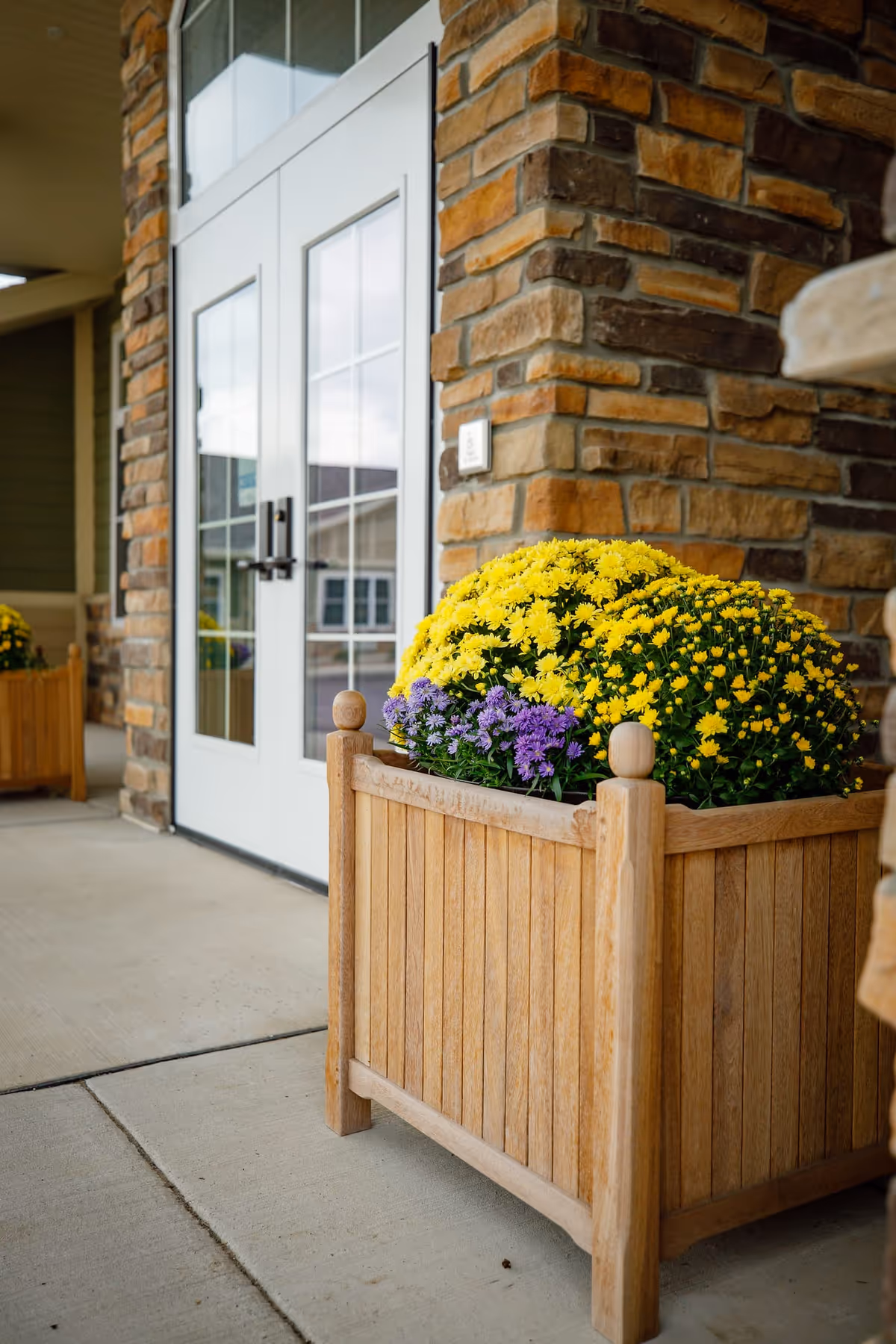 Wooden planter filled with yellow and purple flowers beside a glass double-door entrance set in a stone facade.