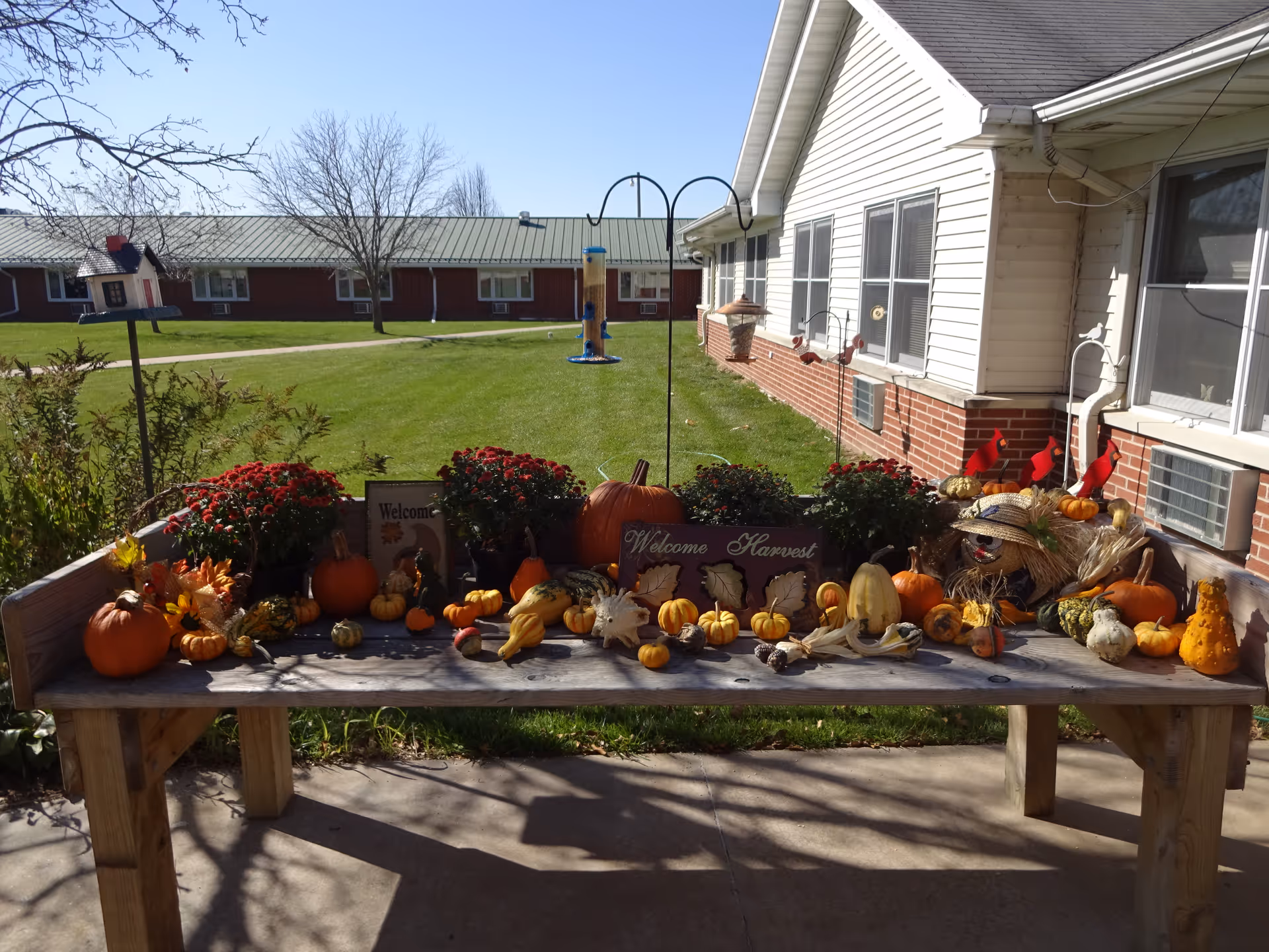 A wooden bench outdoors decorated with various pumpkins, gourds, flowers, and autumn-themed signs including one that says 'Welcome Harvest'. In the background, there is a grassy lawn, a bird feeder, and a building with white siding and brick accents under a clear blue sky.