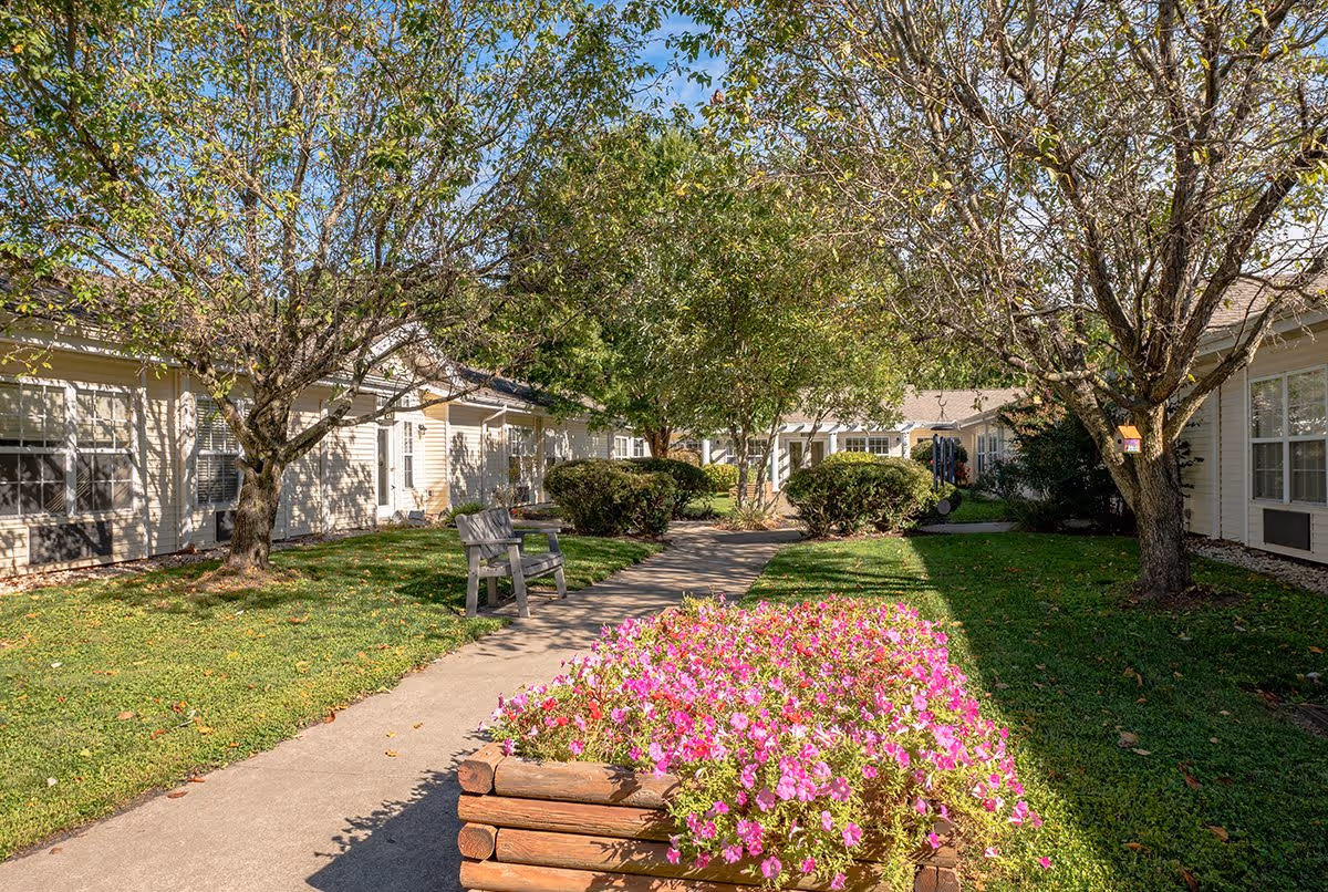 A sunny outdoor courtyard area at a senior living facility with a concrete walkway, green grass, trees, bushes, a wooden bench, and a raised flower bed filled with pink flowers. Single-story buildings with windows surround the courtyard.
