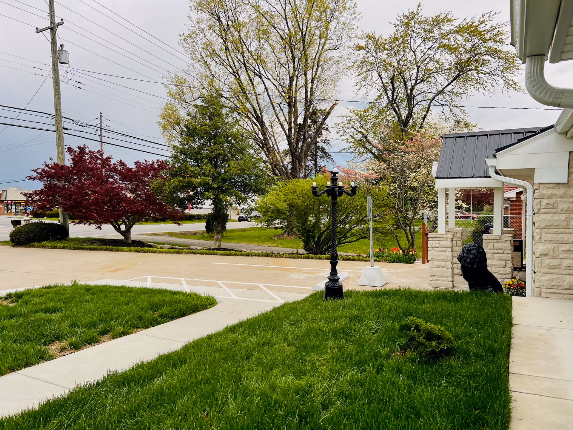 Exterior view of Wellnesscore ADHC with green lawn, trees, and the building entrance.
