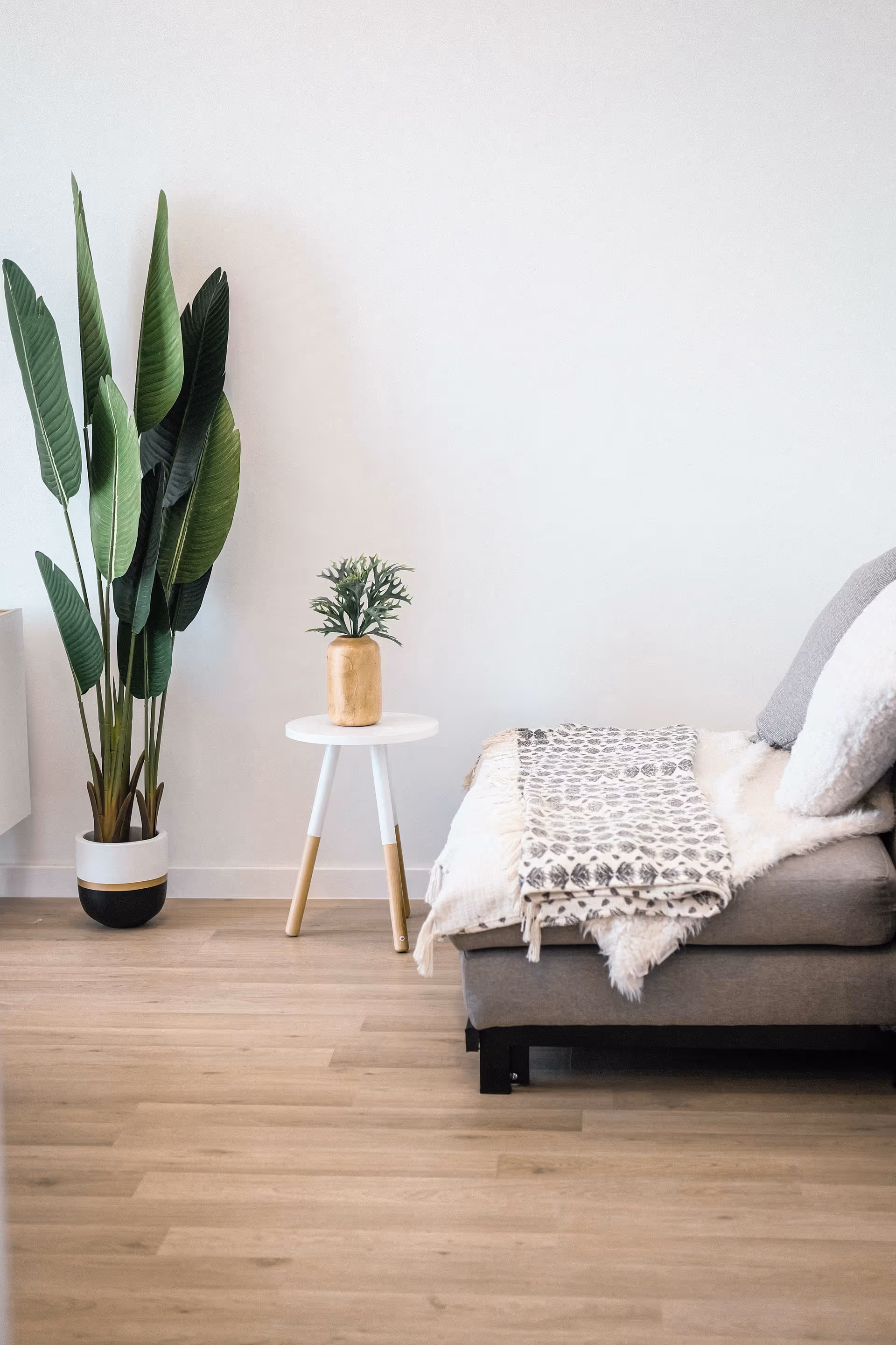 Minimalist living room corner with a gray sofa, white side table, and tall plants.