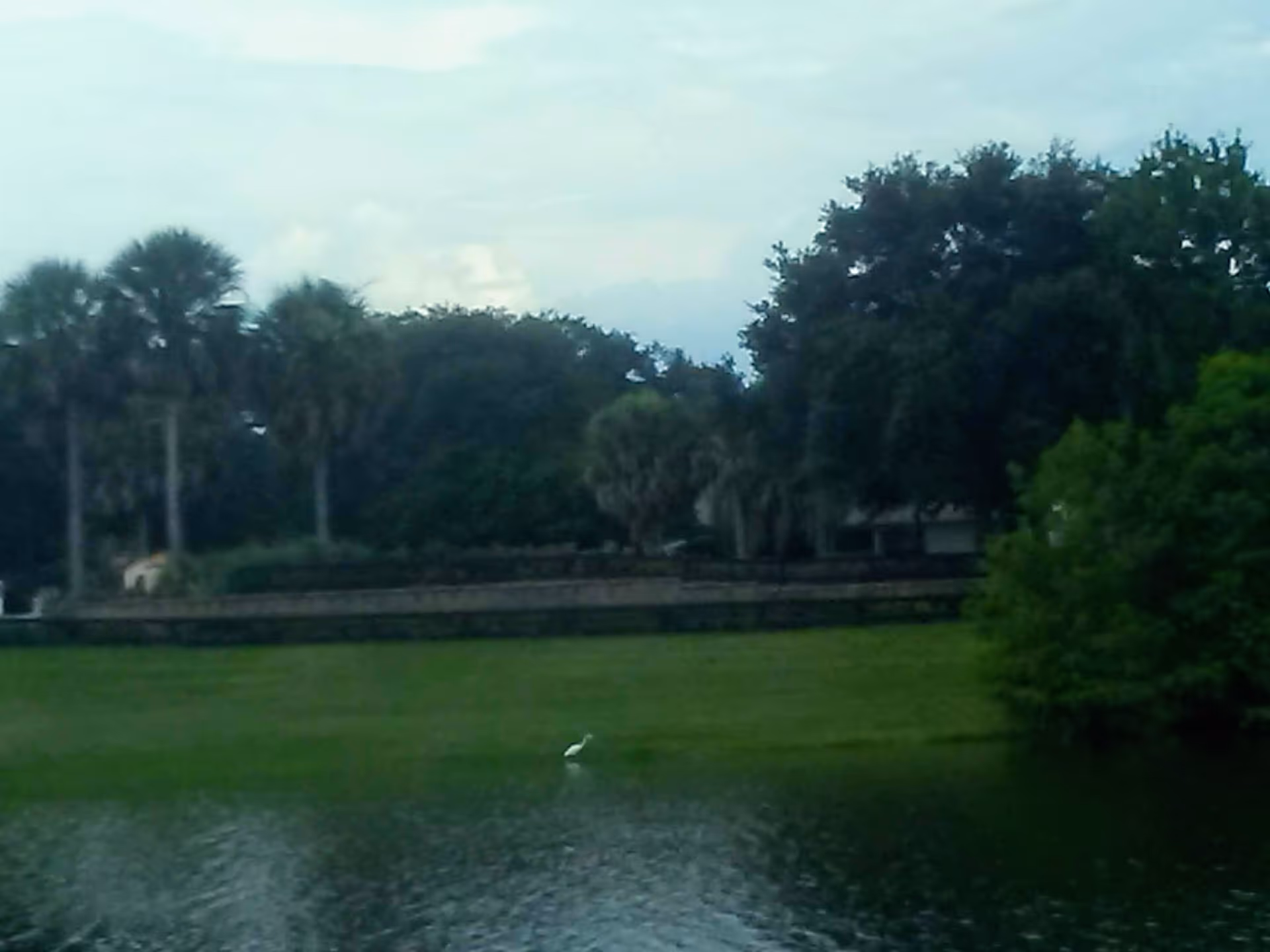 Outdoor landscape featuring a grassy lawn, trees, and a calm waterbody.