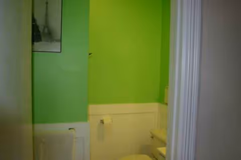 Bright green bathroom with white wainscoting and a toilet visible on the right.