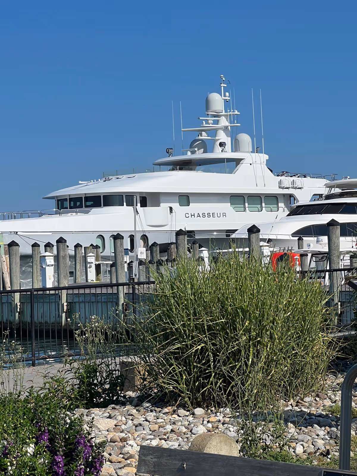 White luxury yacht docked at marina with railing, rocks, and grasses in foreground.