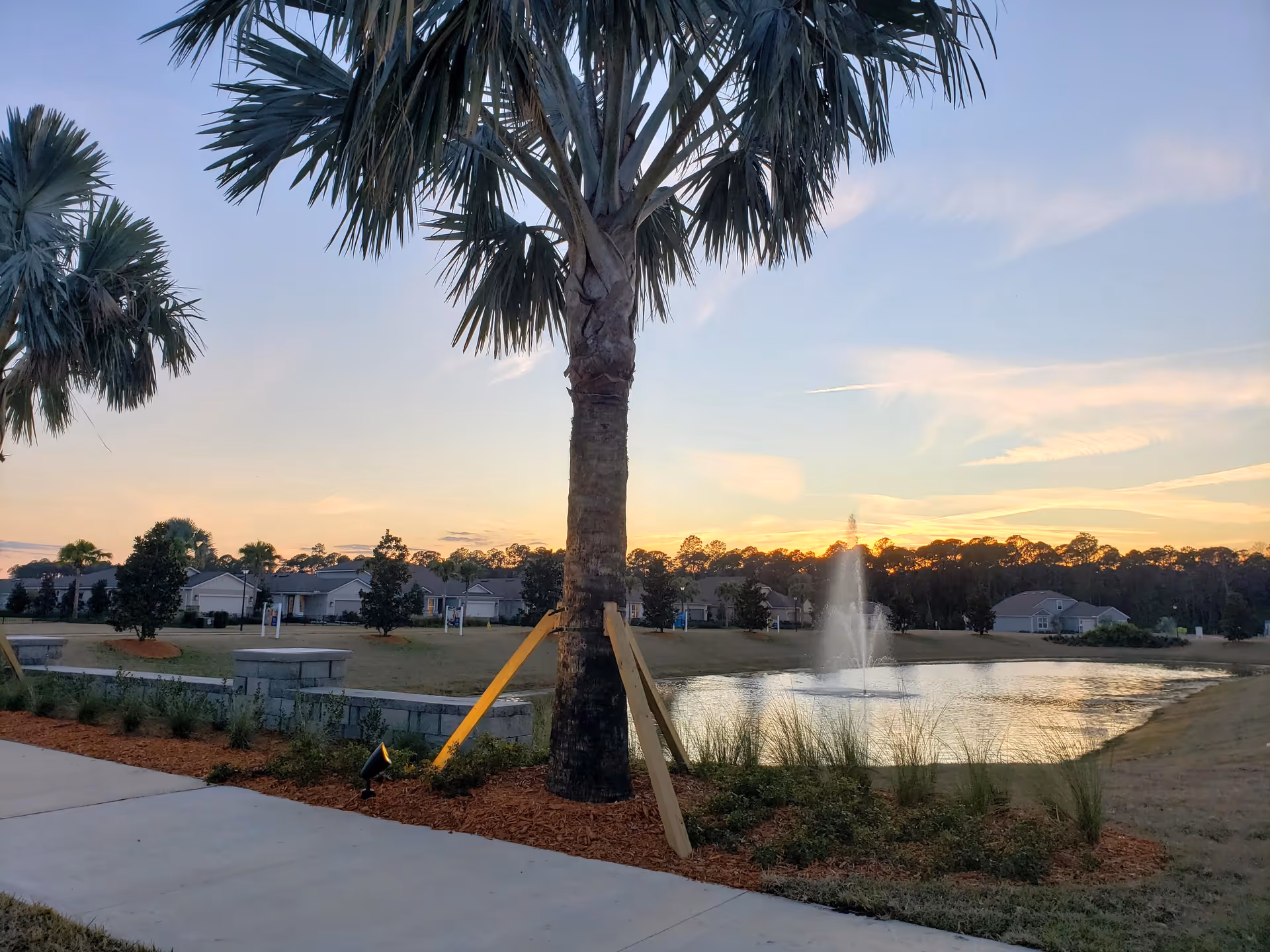 Sunset over a lake with a fountain, palm trees, and residential buildings in the distance.