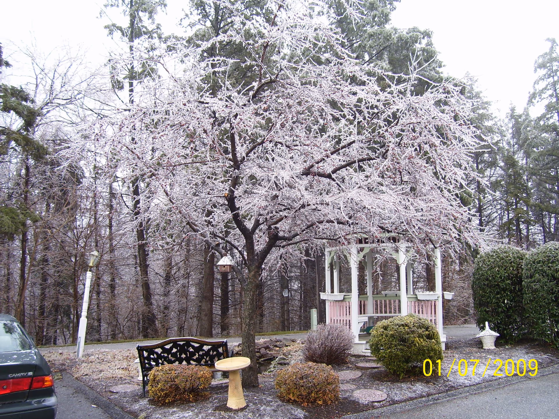 A winter scene featuring a gazebo surrounded by icy trees and shrubs in a senior living facility.