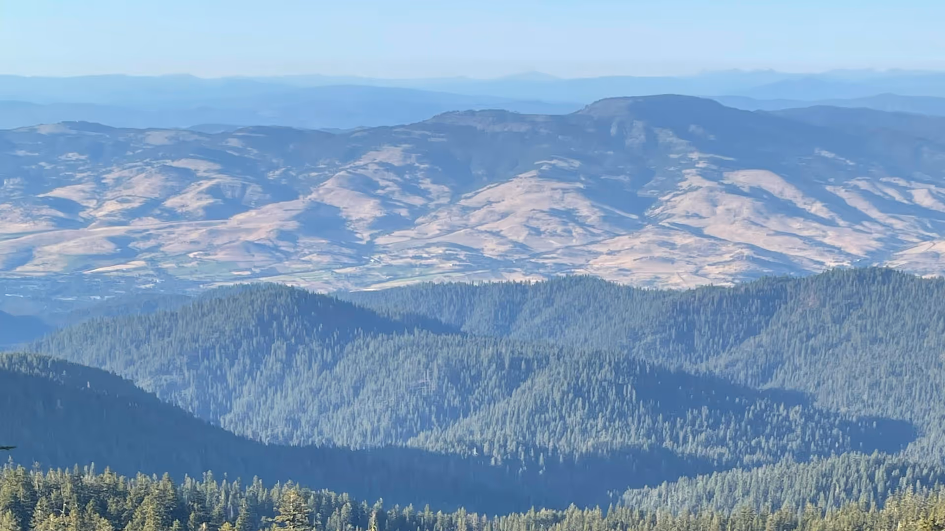Wide view of forested mountains and distant hills beneath a clear blue sky.