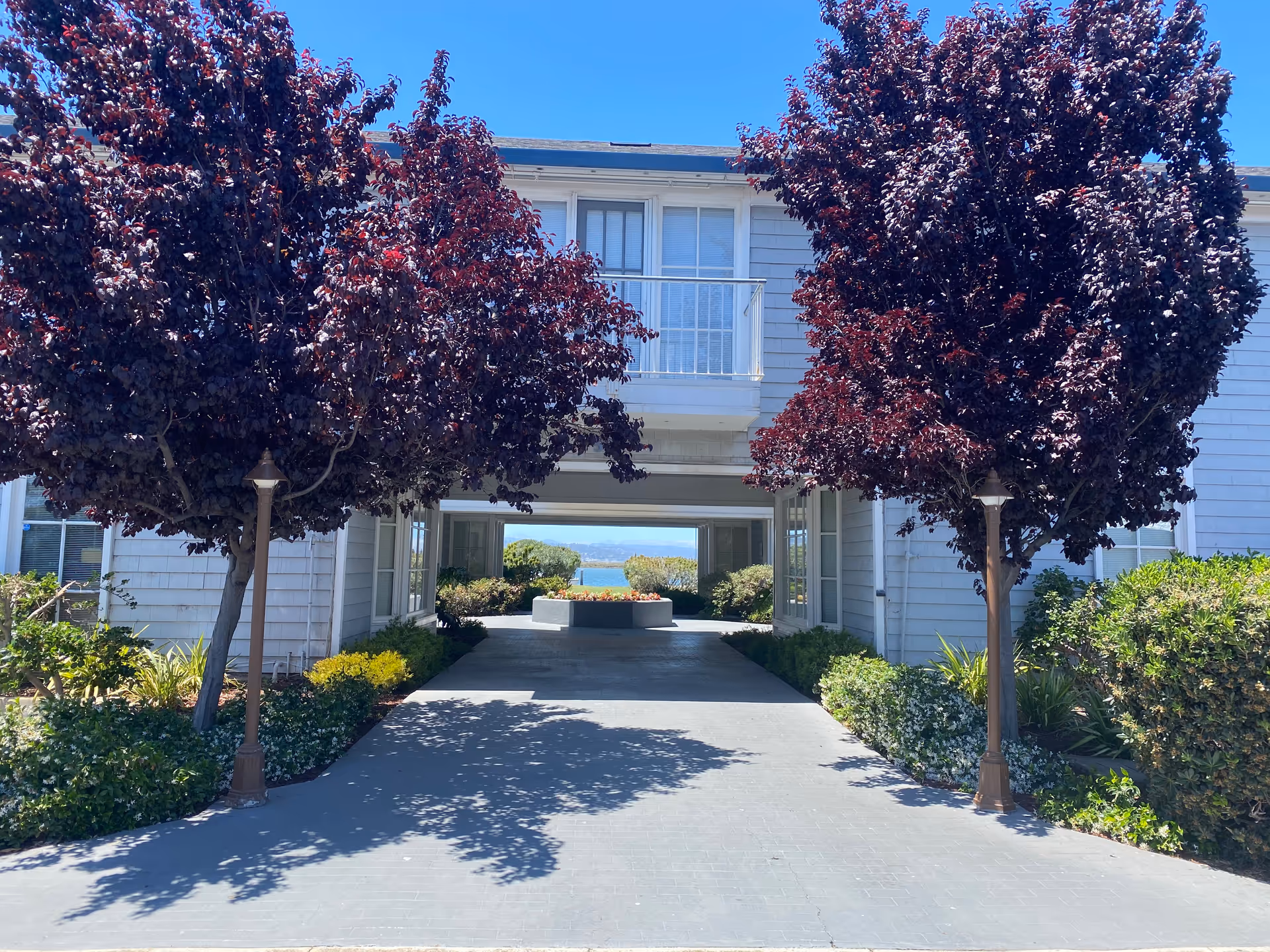 Exterior view of a senior living building with burgundy-leaved trees and a central walkway.