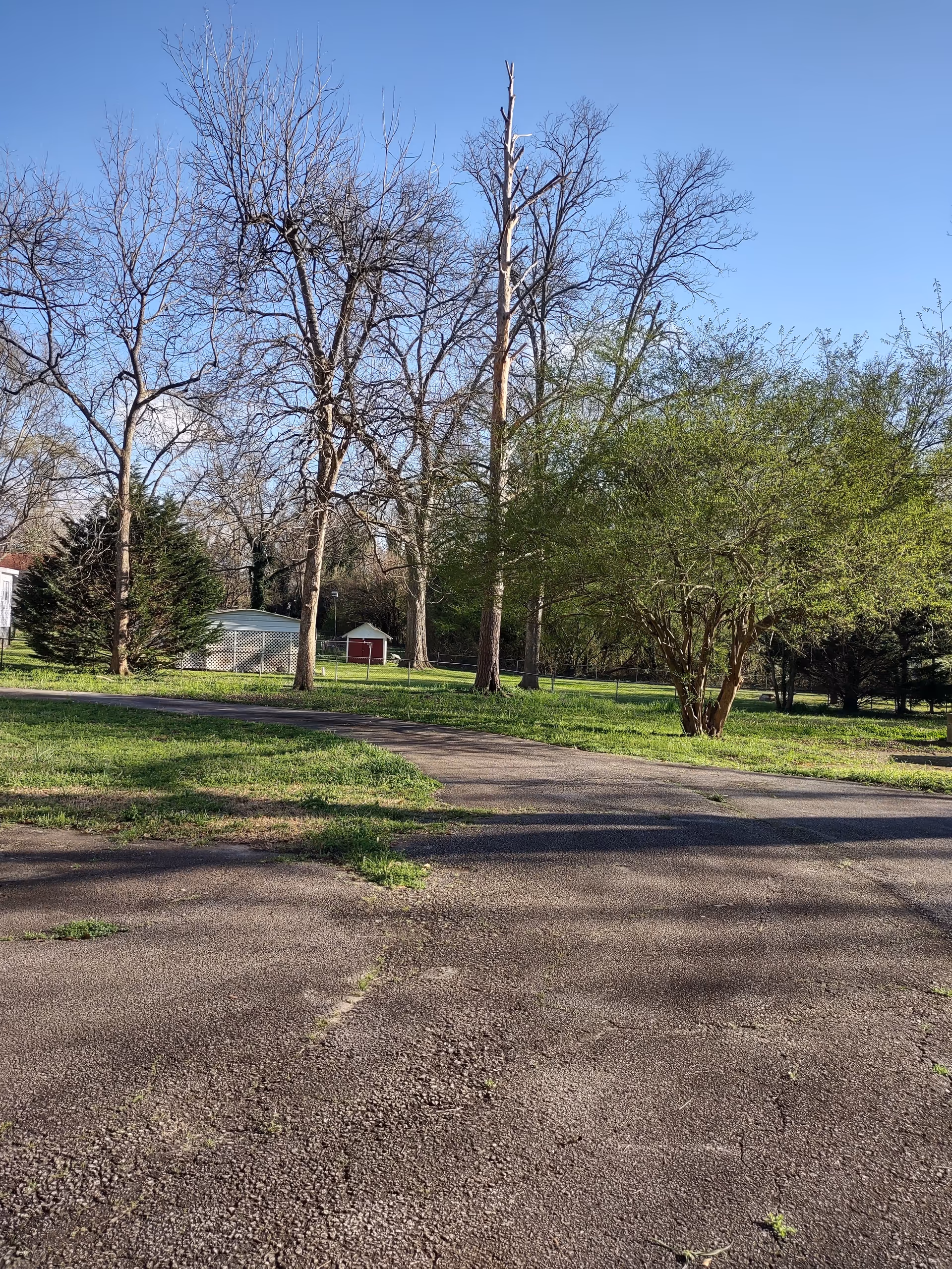 Outdoor scene with bare trees, a paved path, and a small red shed.