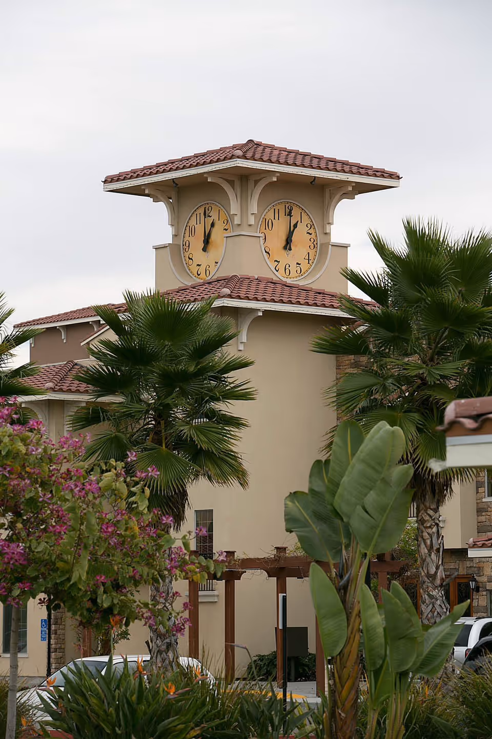 Clock tower with two large clocks atop a Mediterranean-style building surrounded by palm trees and flowering plants.