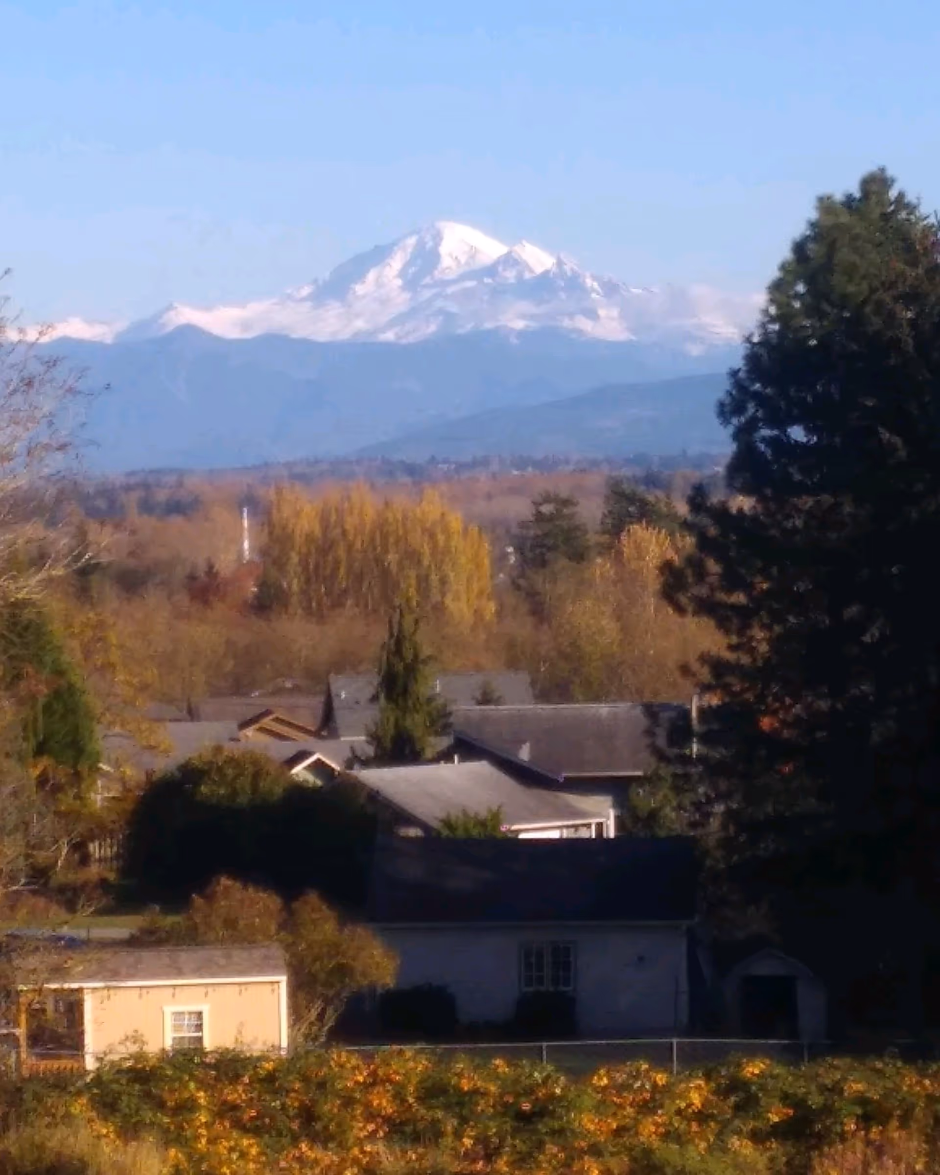 Snow-capped mountains rise behind a quiet suburban neighborhood with autumn trees.