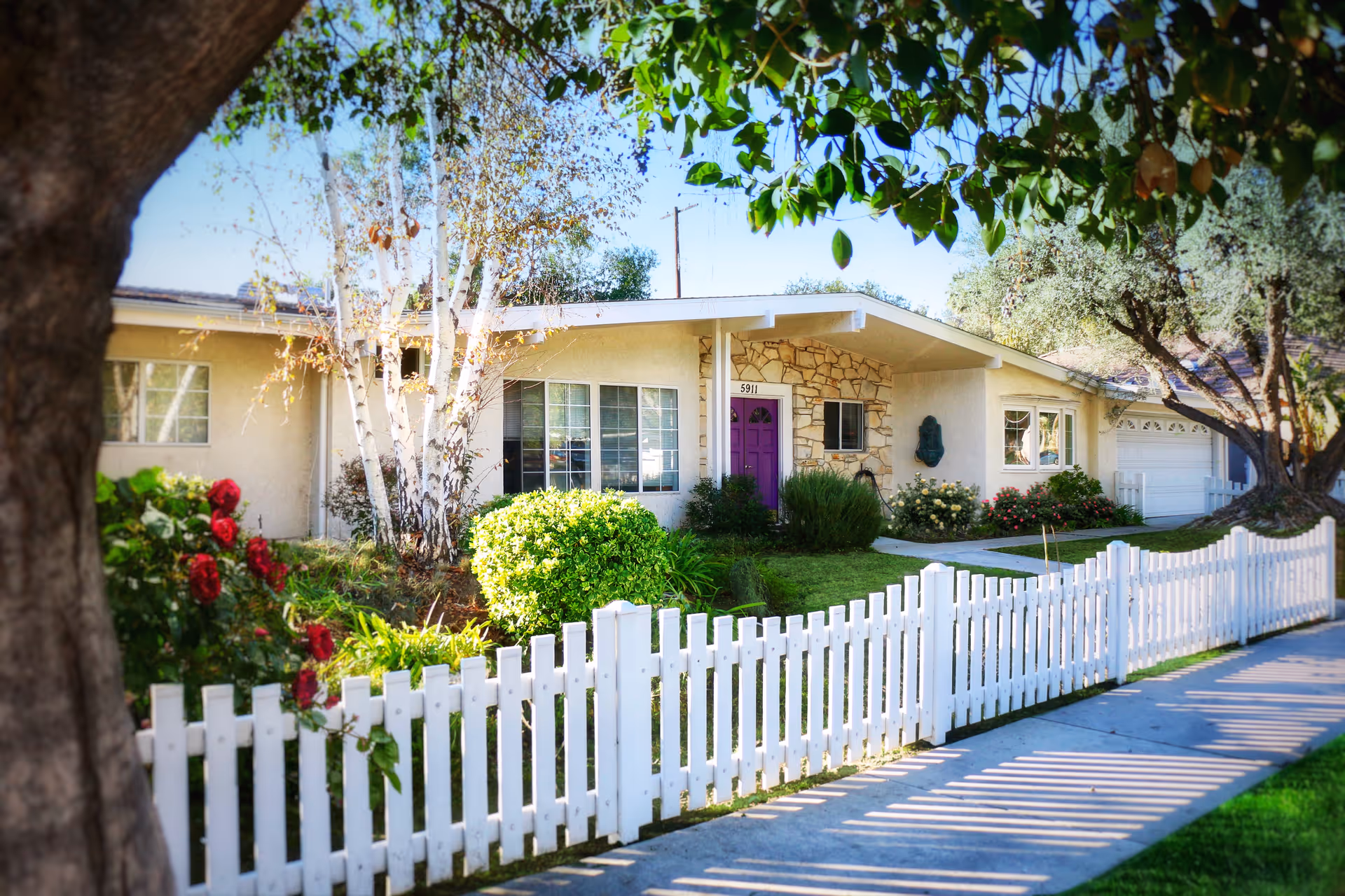 Exterior view of a single-story house with a white picket fence, green lawn, bushes, and trees. The house has a stone accent wall near the entrance with a purple front door and several windows. The sidewalk runs alongside the fence under the shade of trees.
