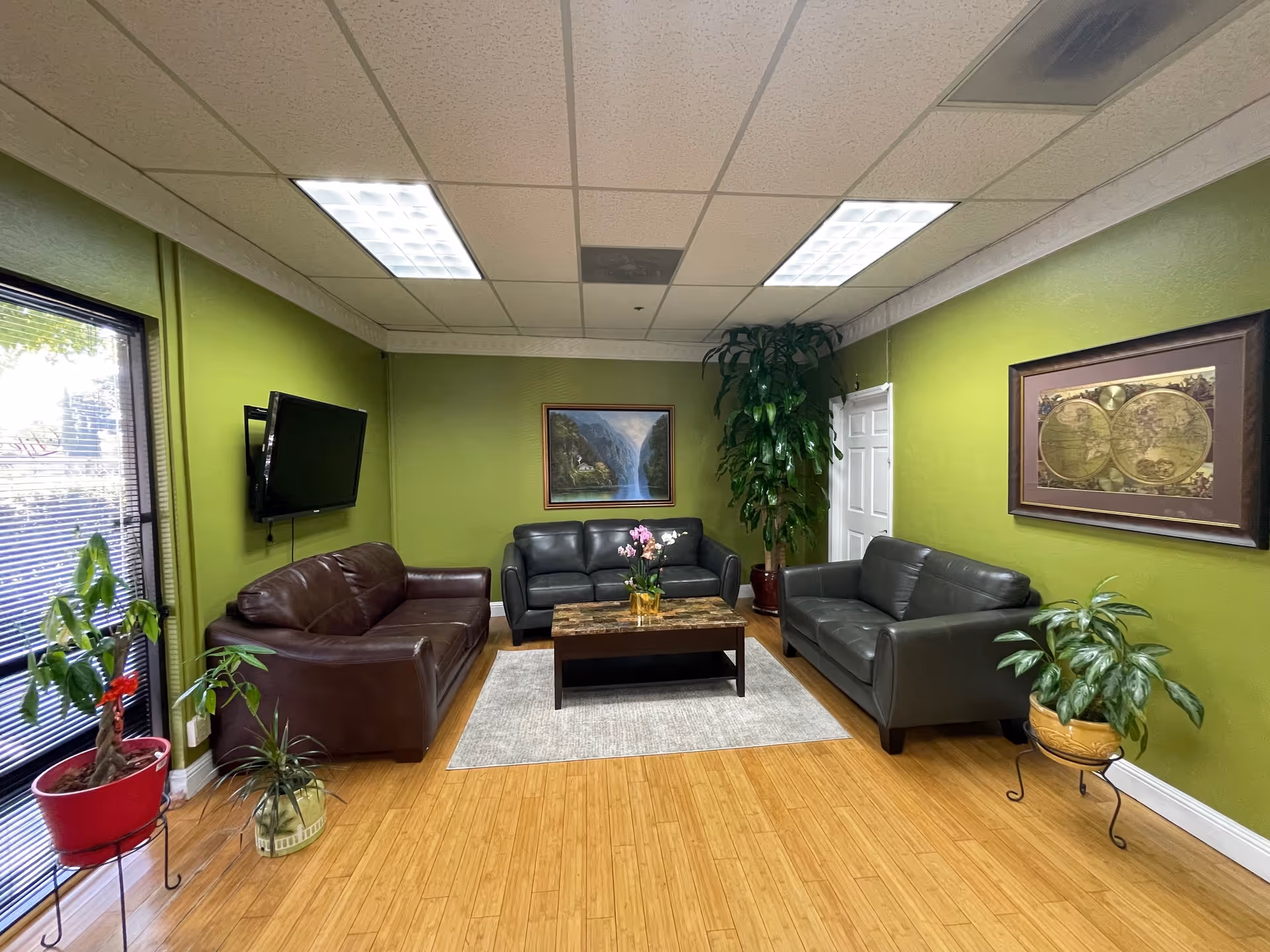 Green-walled living room with leather couches, a coffee table, and plants.