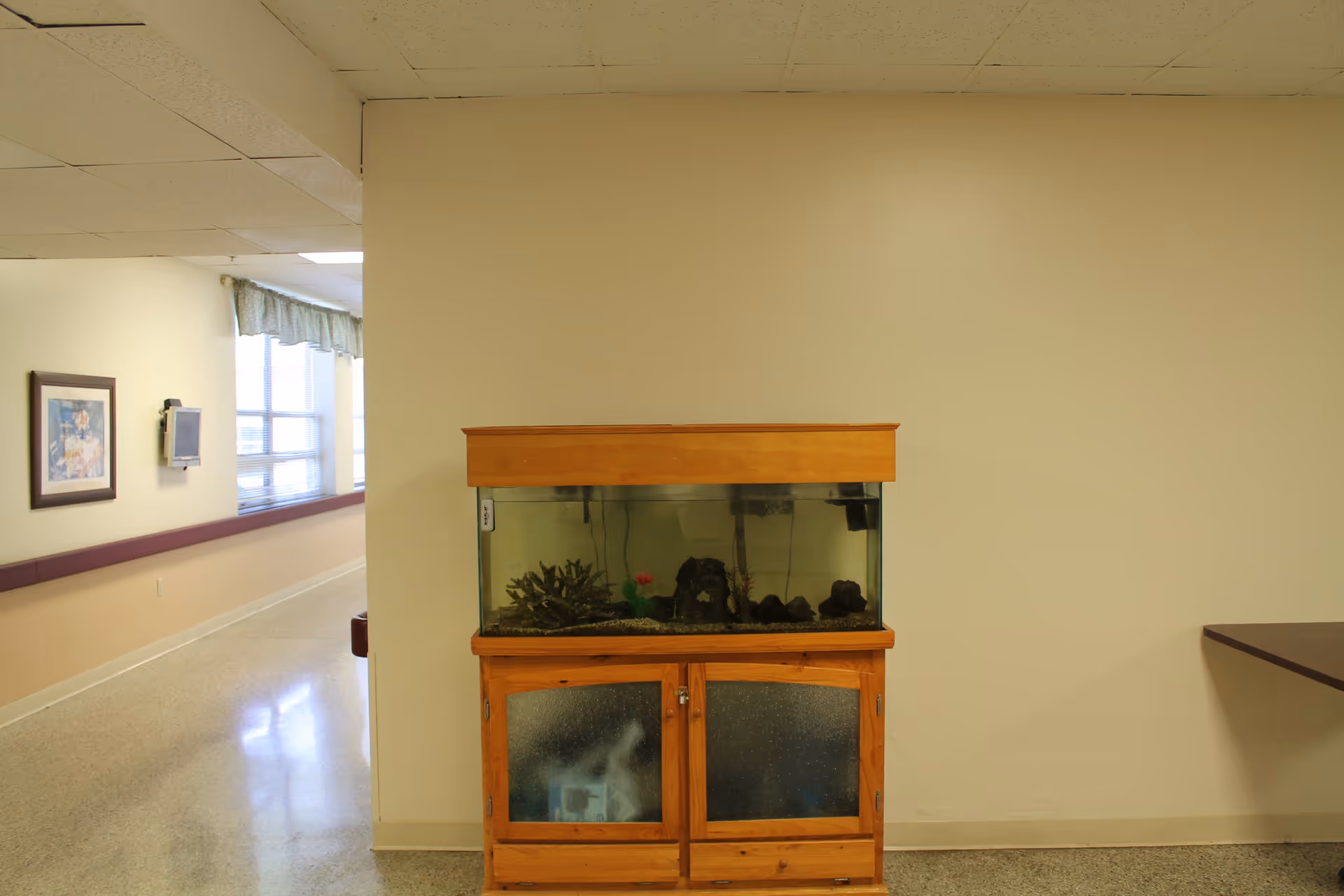 Wooden fish tank cabinet against a pale wall in a hallway of a senior living facility.