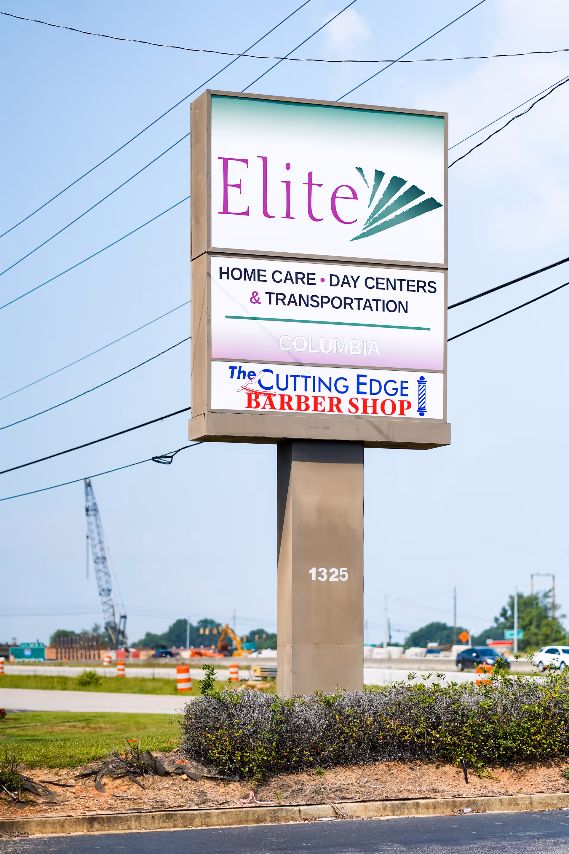 Tall outdoor sign on a pole advertising Elite Home Care and Day Centers beside a road.