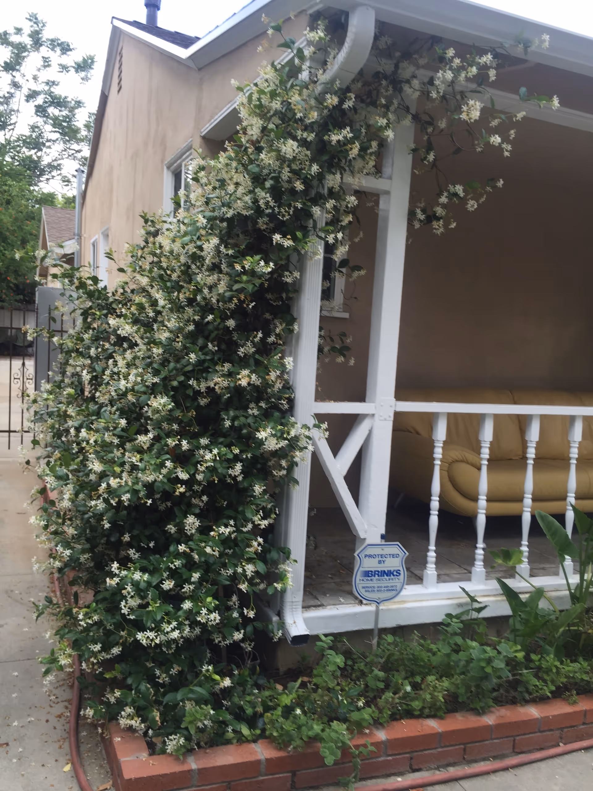 Front porch of a beige house with a white railing covered in a flowering vine, a yellow couch inside, and a Brinks security sign by a brick planter.