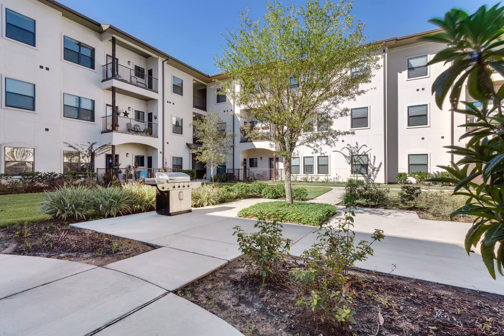 Outdoor courtyard area of a senior living facility with a central tree, landscaped bushes, concrete walkways, and a stainless steel barbecue grill. The building surrounding the courtyard is three stories high with balconies and windows.