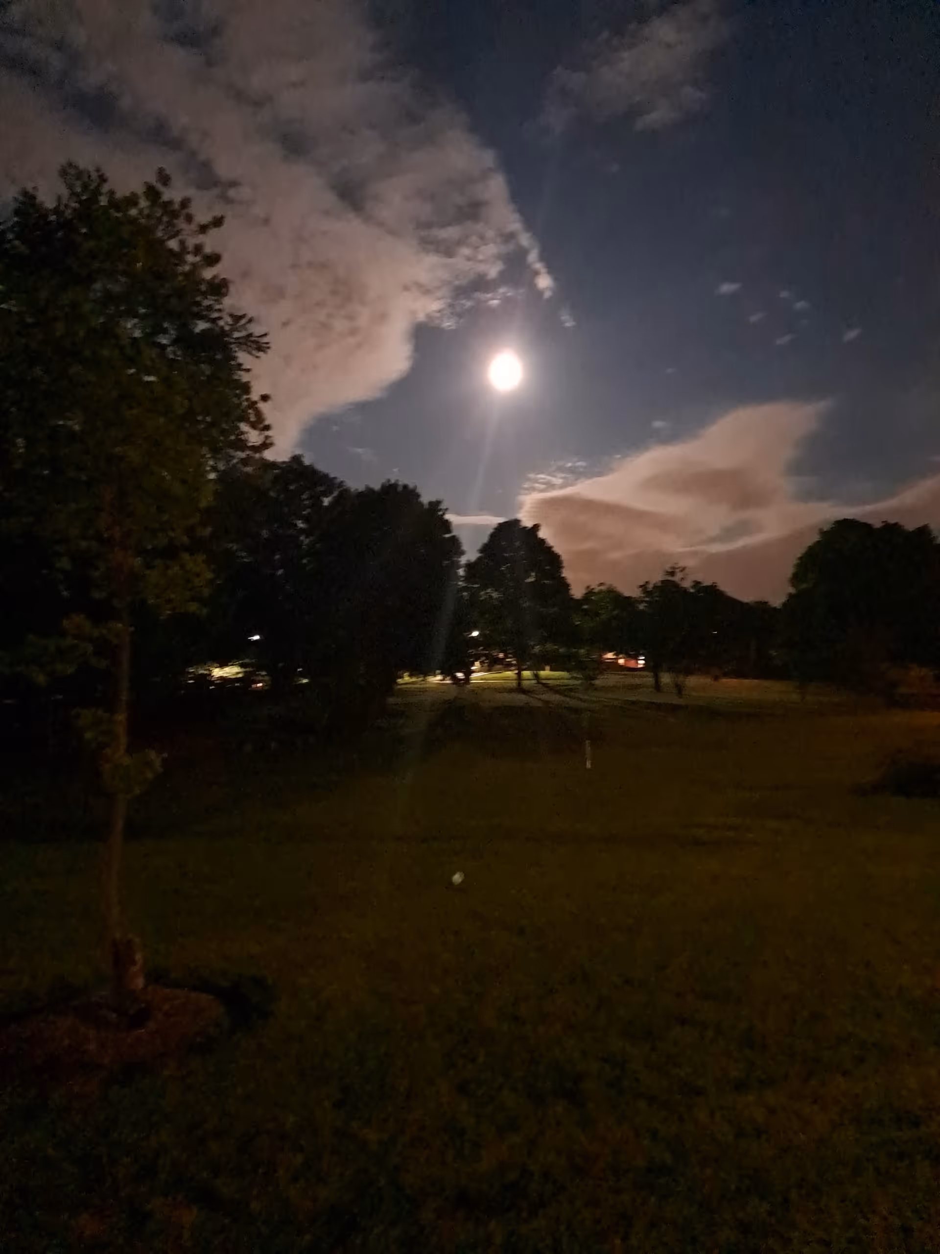 Moonlit night over a grassy area with trees and distant lights.