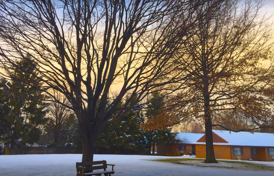 Snow-covered outdoor yard with bare trees, bench, and a brick building.