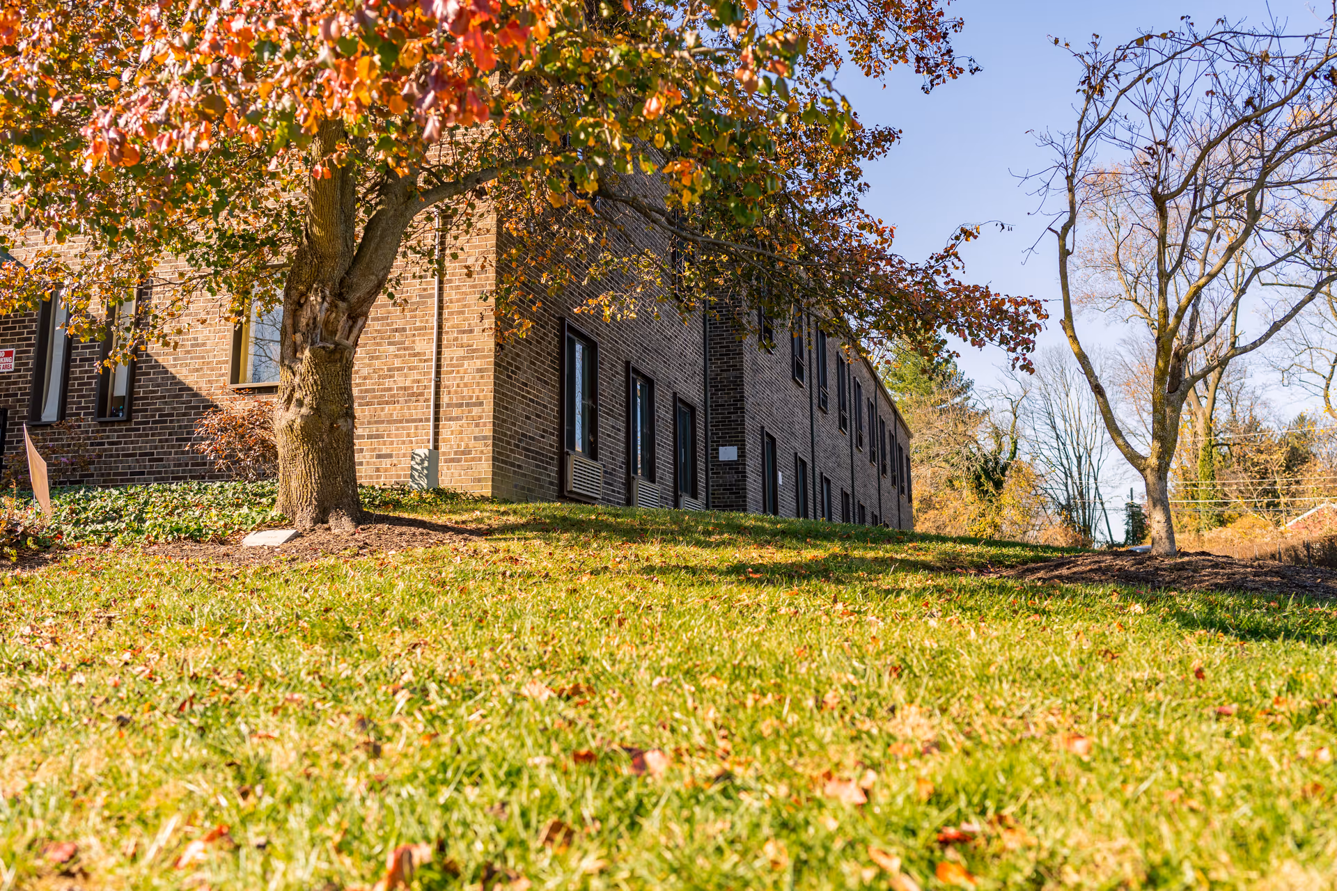 Exterior view of a brick senior living facility with fall trees and grass.