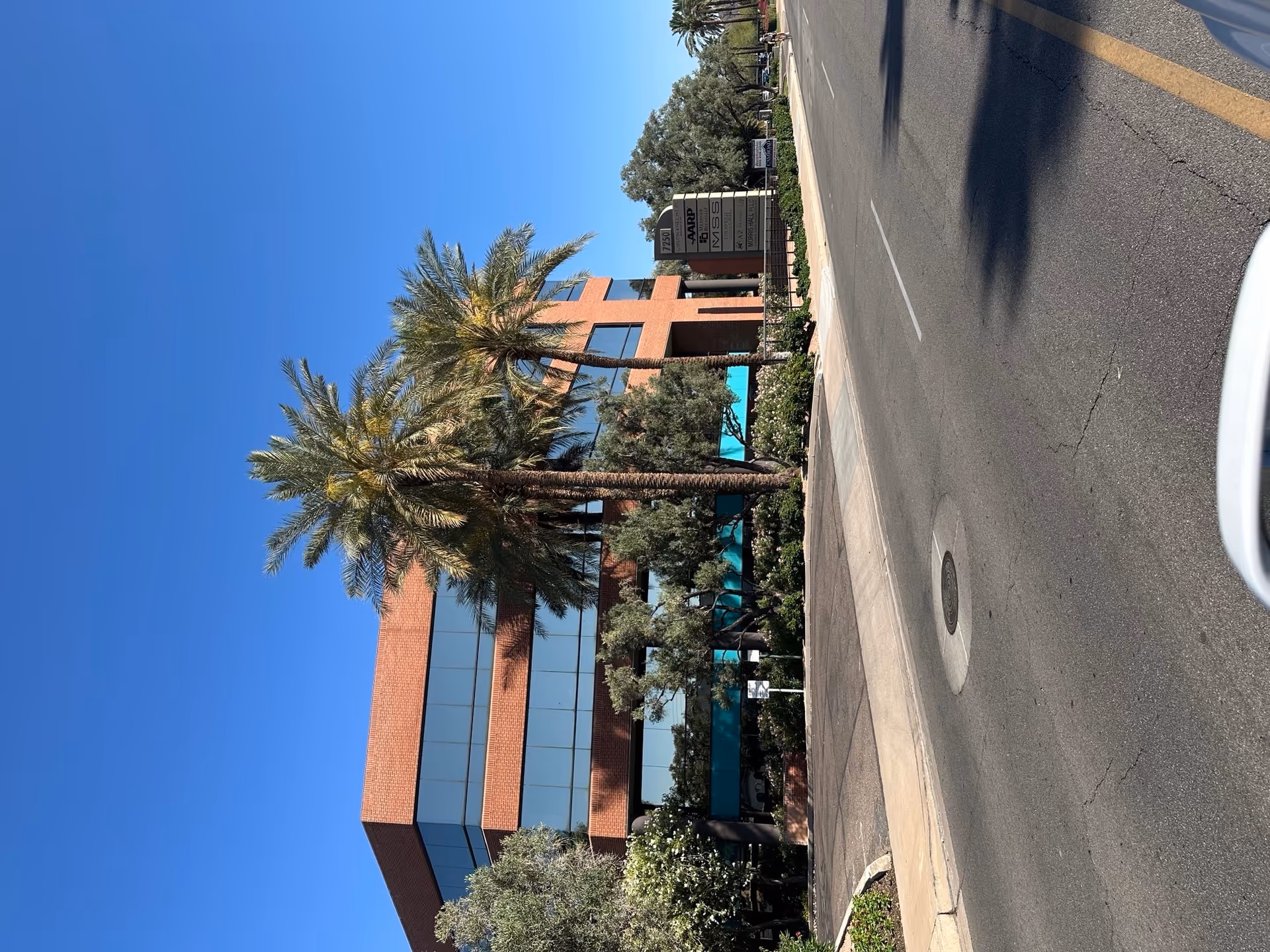 Exterior view of a brick BAYADA building with glass windows and palm trees.