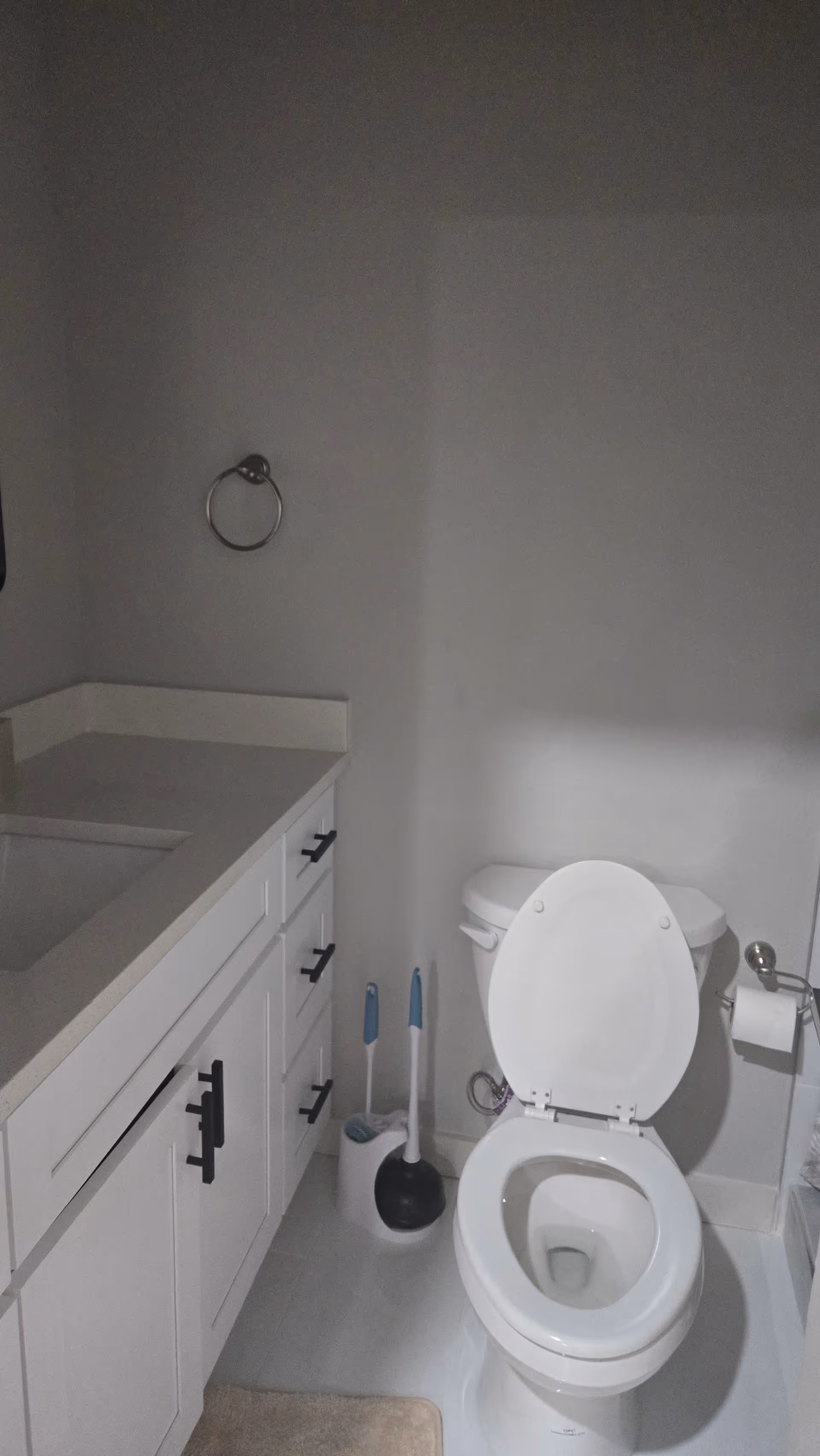 A compact bathroom with a white vanity, toilet, plunger, and cleaning supplies near the sink.
