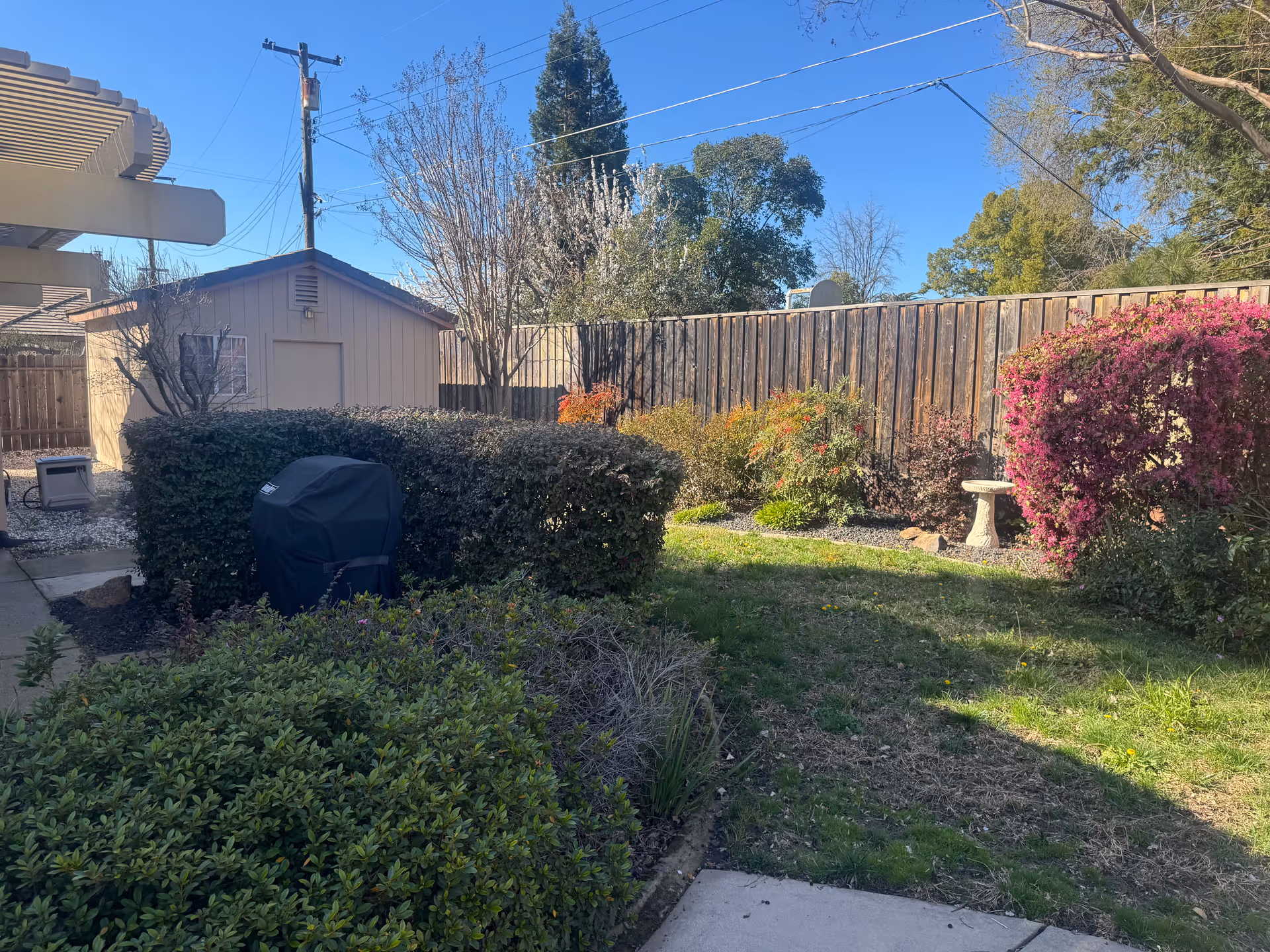 Backyard with hedges, flowering bushes, a covered grill, birdbath, and wooden fence.