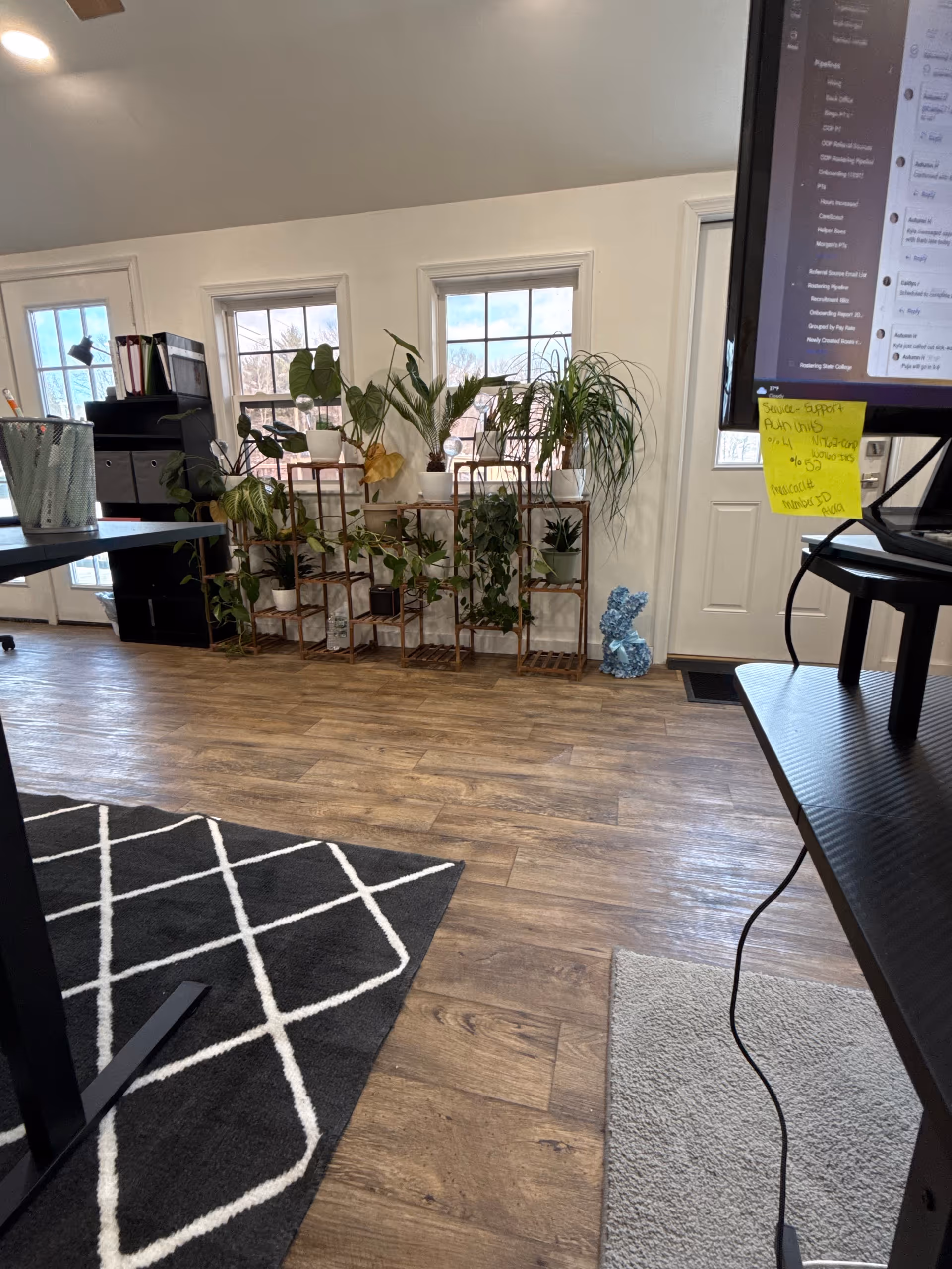 Interior lobby area with potted plants on shelves and a computer monitor.