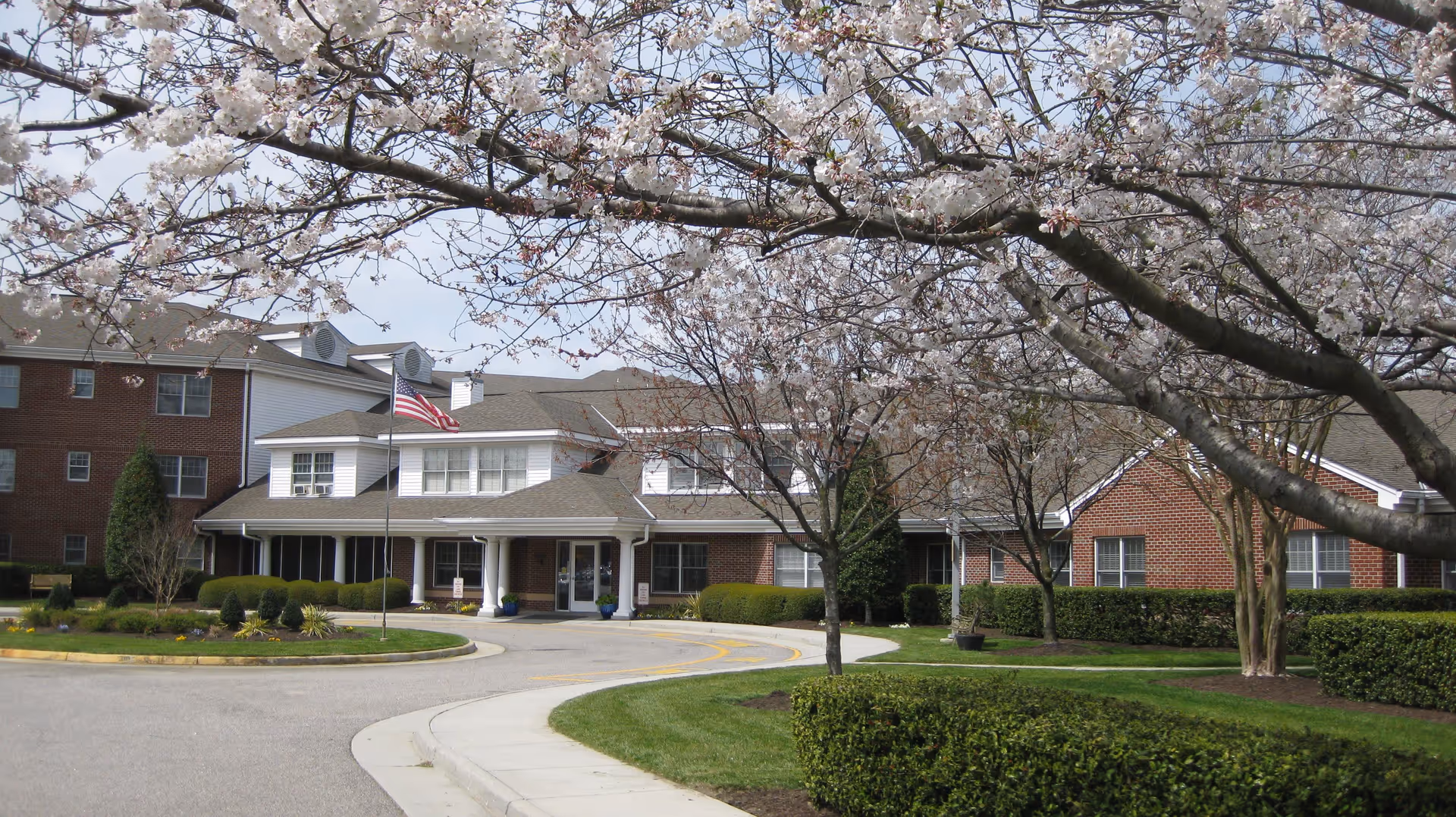 Behind blooming cherry trees, a brick senior living center with circular driveway and American flag.