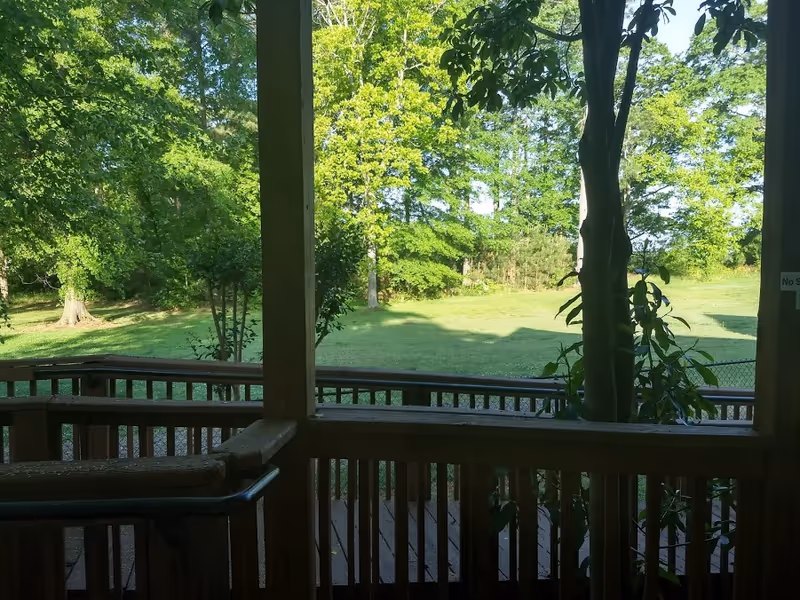 View from a wooden porch overlooking a grassy yard and trees.