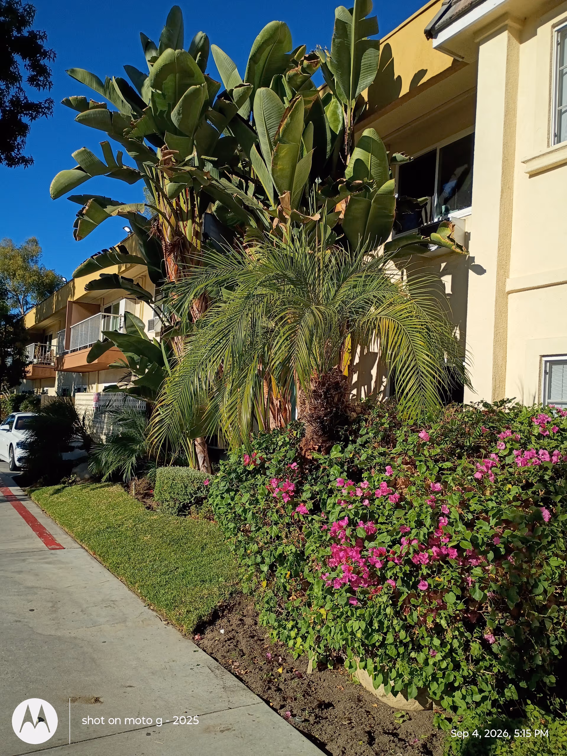 Exterior view of The Gardens at Park Balboa with tropical plants along the building.