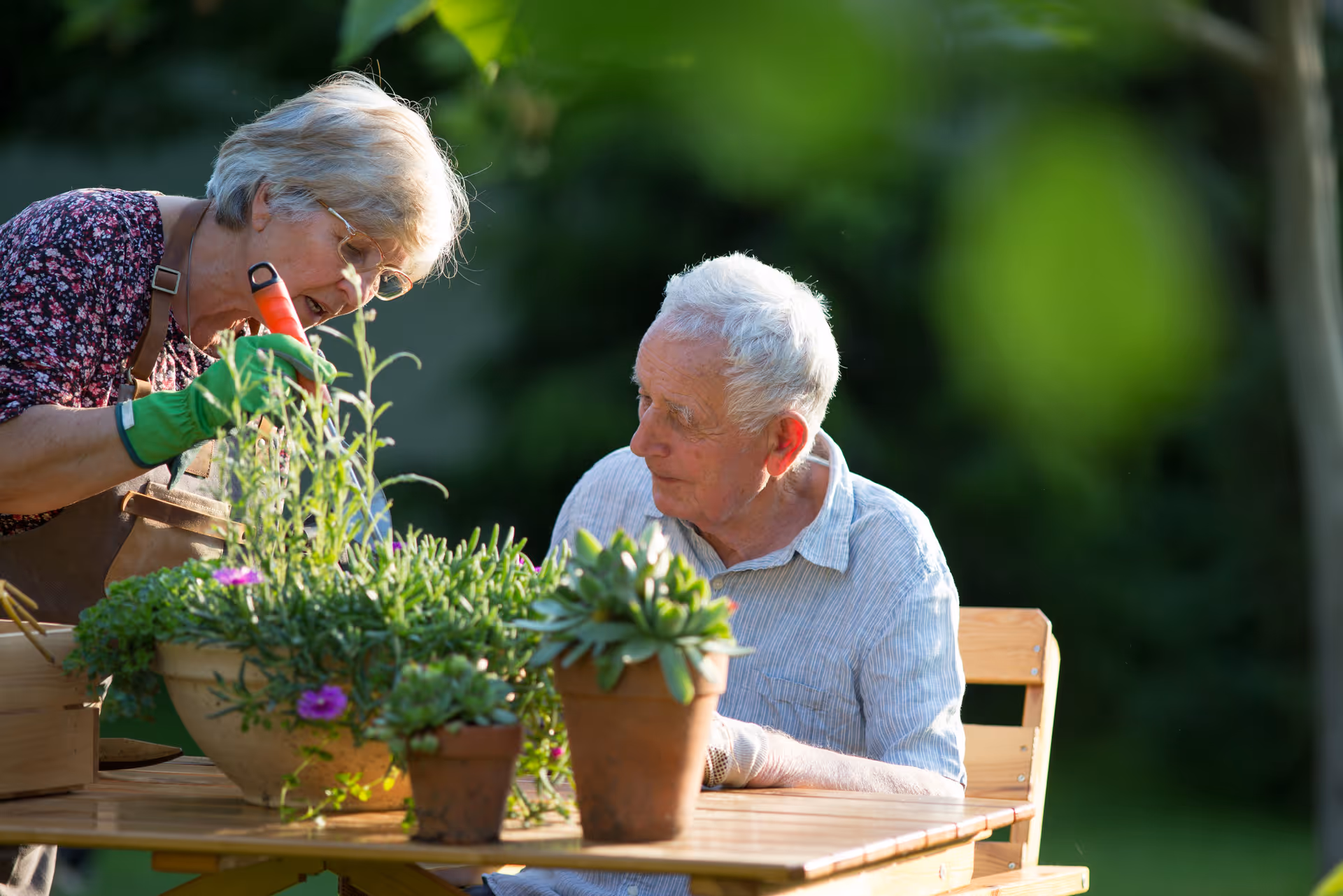 Two elderly people garden at an outdoor wooden table with potted plants.