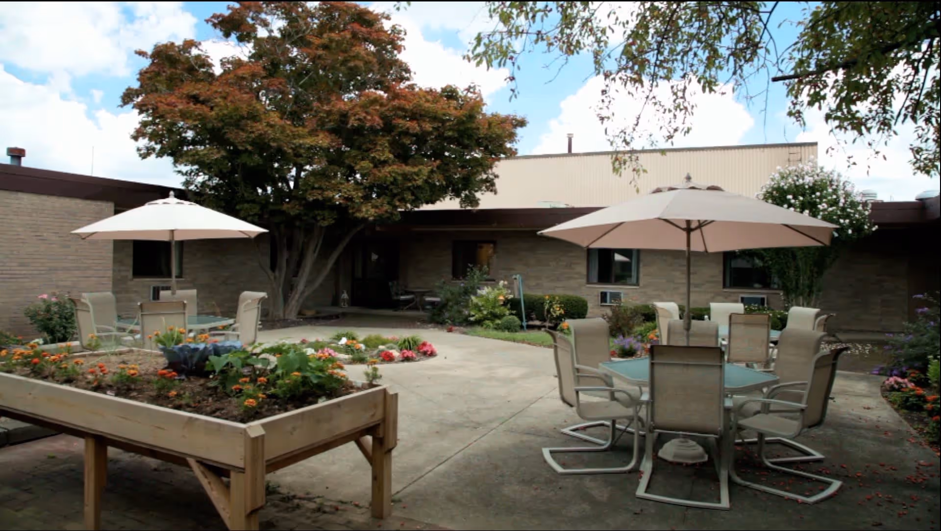 Outdoor courtyard with patio tables and umbrellas, raised planters, and a large tree in front of a single-story building.