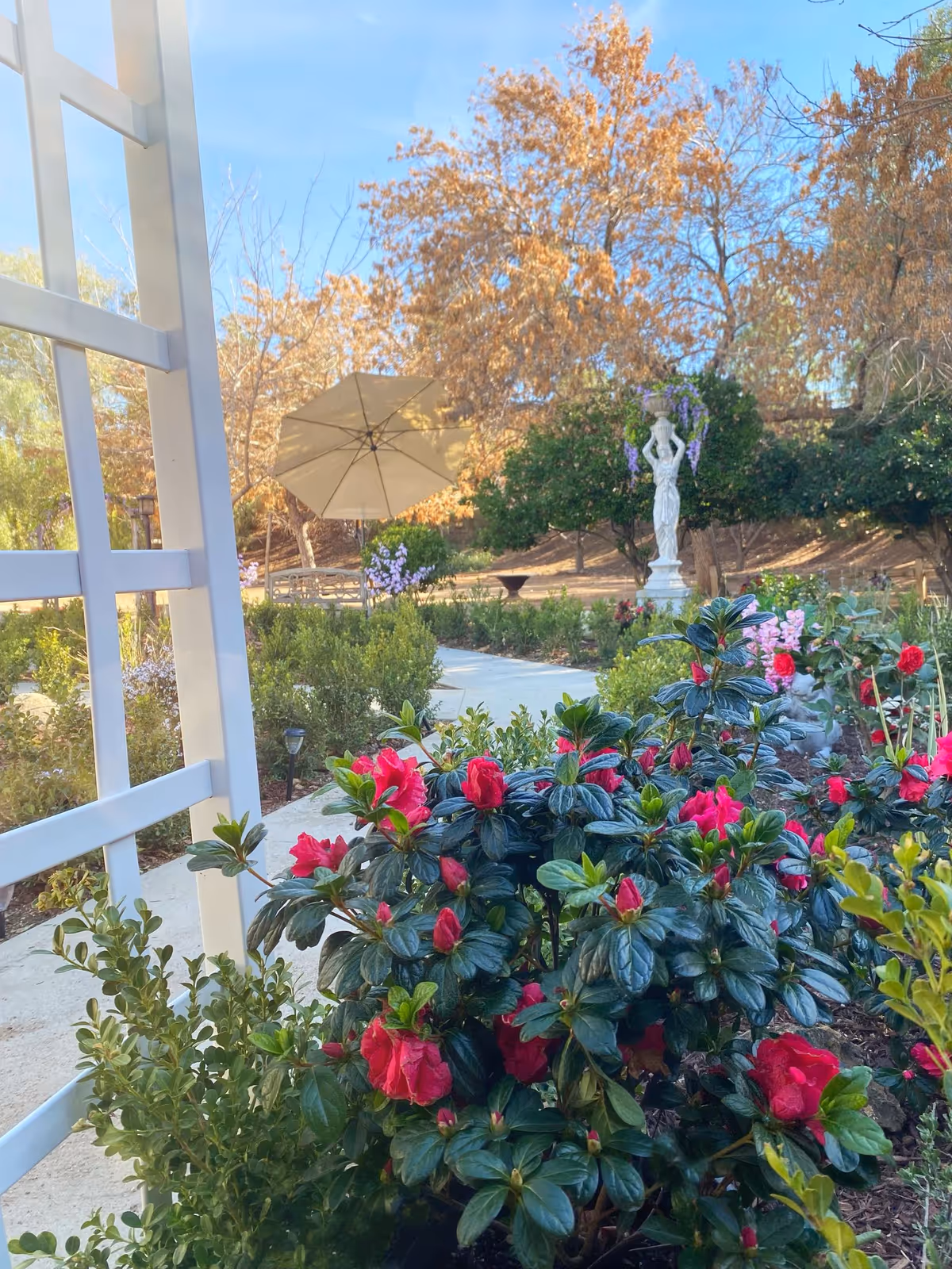 Colorful shrubs and a statue with an umbrella in a sunny garden courtyard.