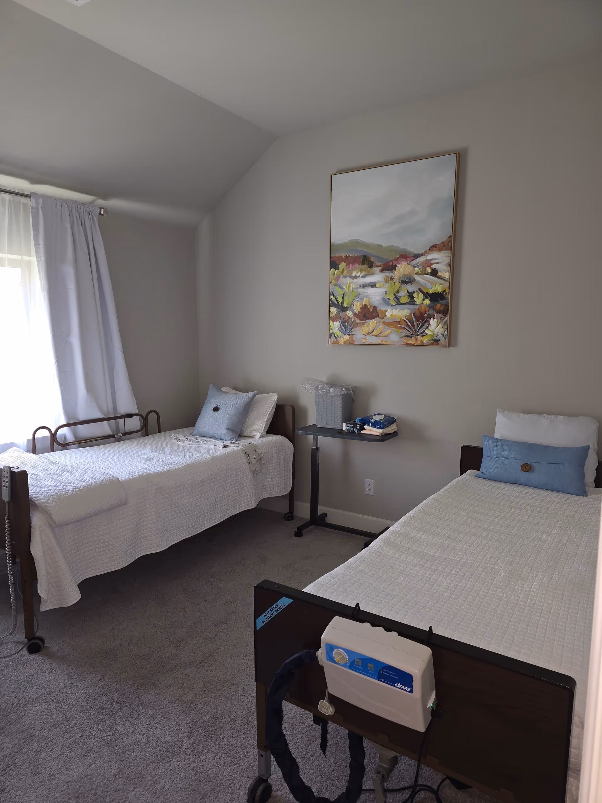 Bright shared bedroom with two hospital-style beds and a wall painting.