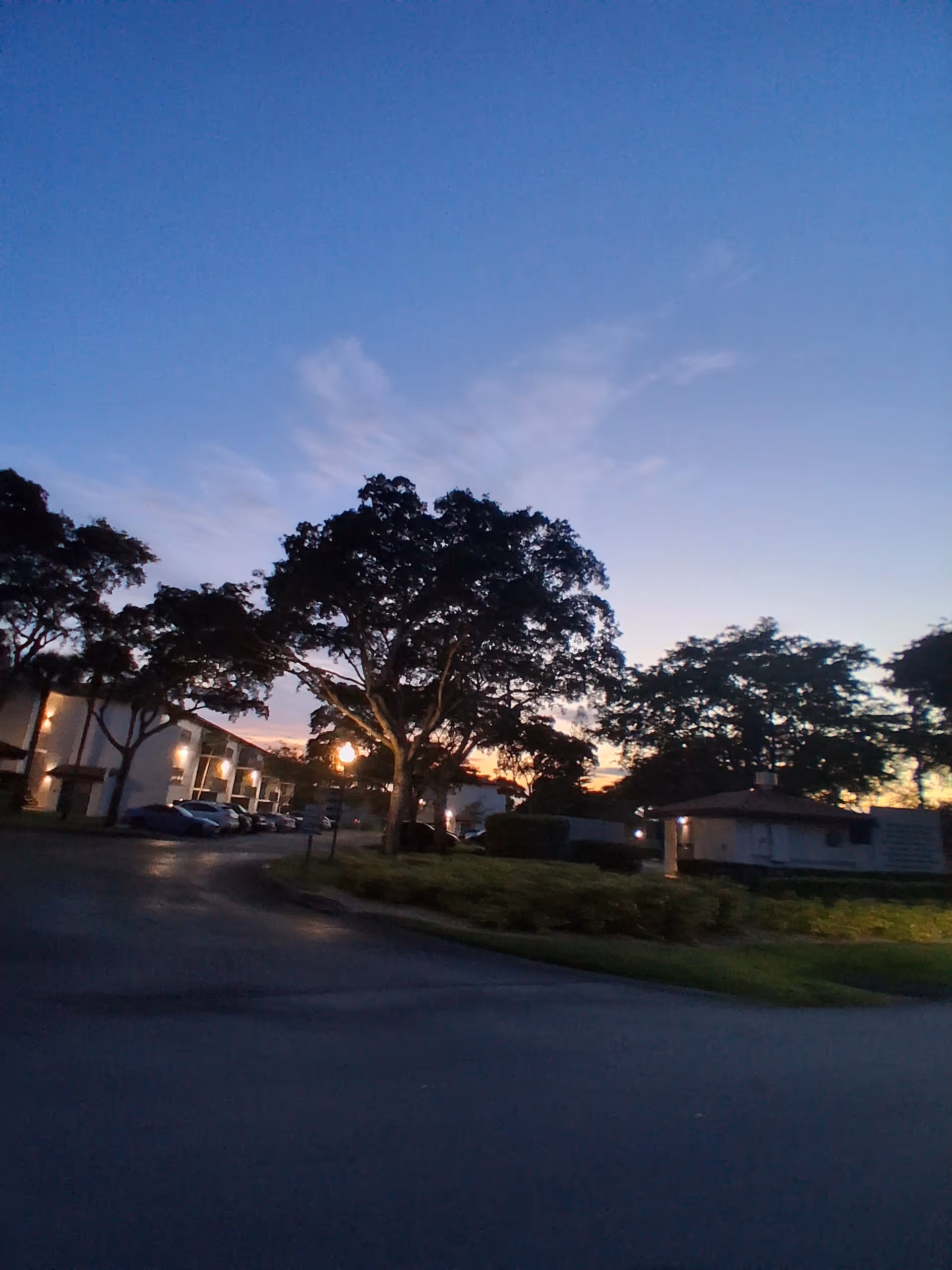 Dusk exterior view of BrowardALF campus with trees, buildings, and streetlights.