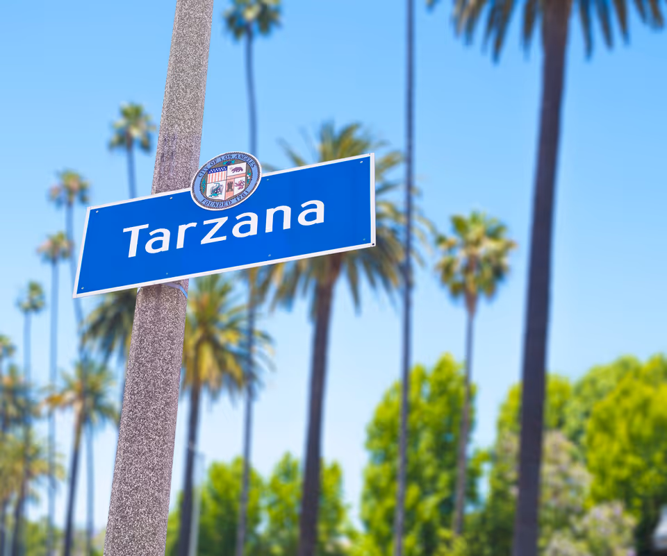 Blue Tarzana street sign on a pole with tall palm trees behind.