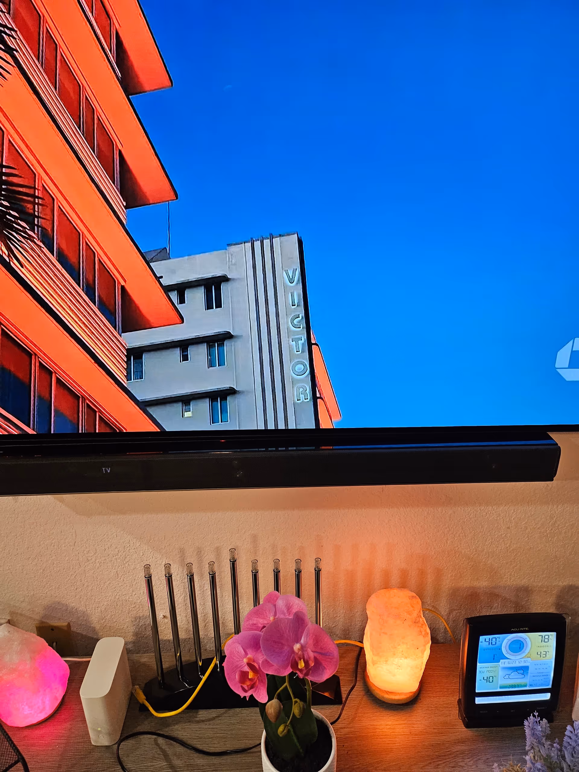 Indoor living area featuring a wall-mounted TV, orchid, and Himalayan salt lamps.