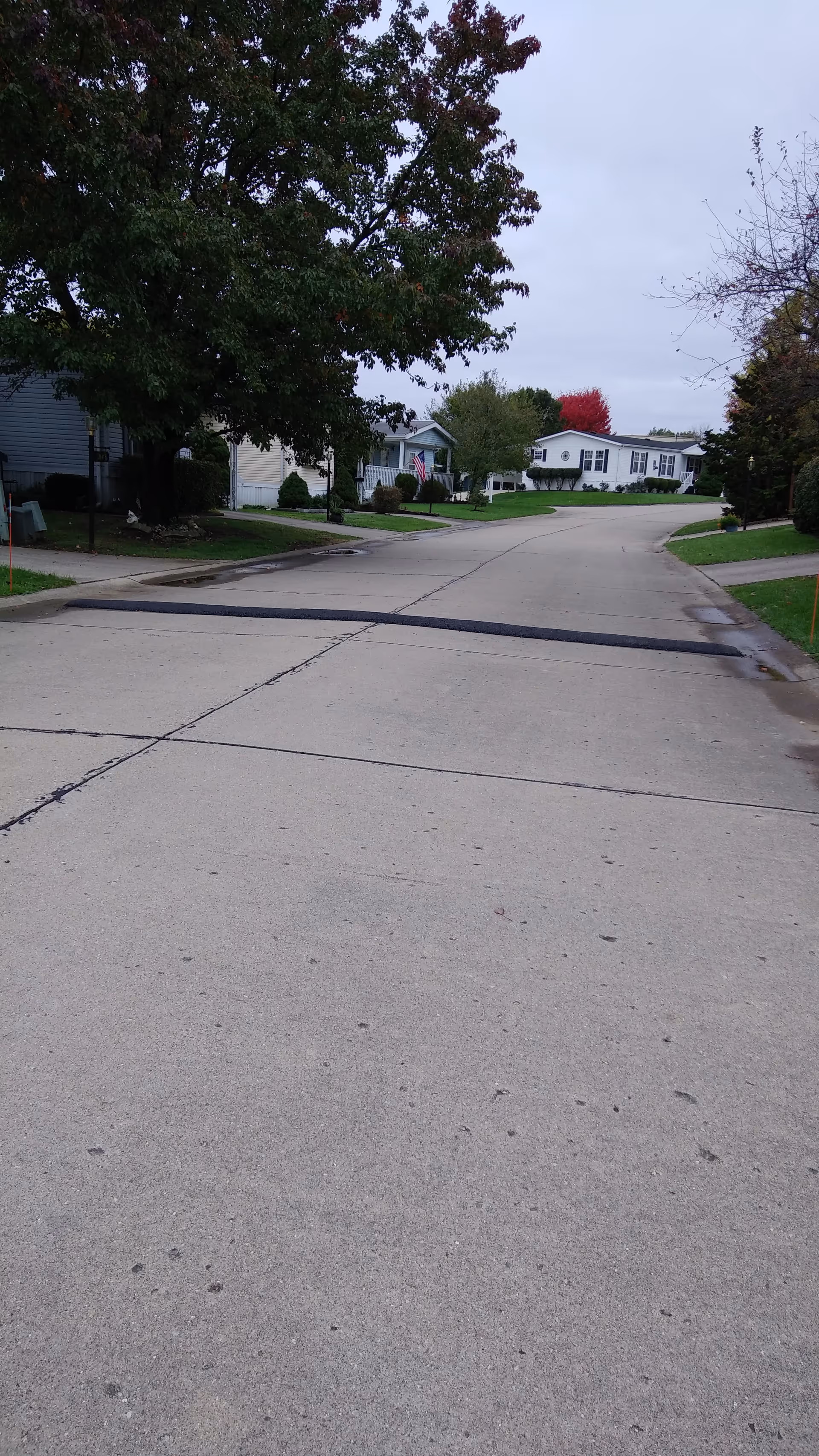 Quiet street of a senior living community with trees, lawns, and low-rise homes along the road