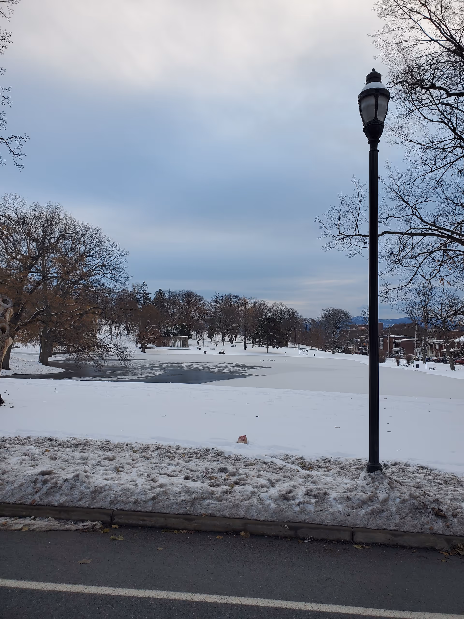 Snowy outdoor scene with a lamppost, bare trees, and a frozen pond.