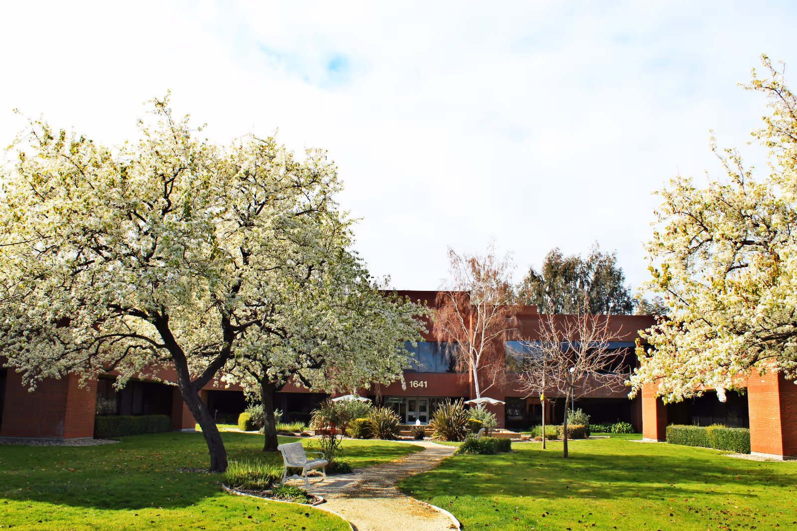 Brick senior living facility exterior with green lawn, blooming trees, and a curved path.
