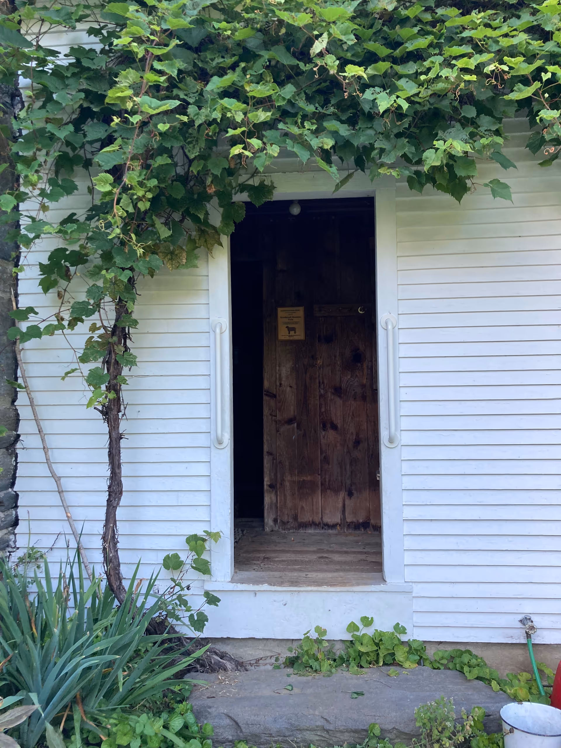 White building exterior with wooden door, ivy-covered entrance, and surrounding greenery.