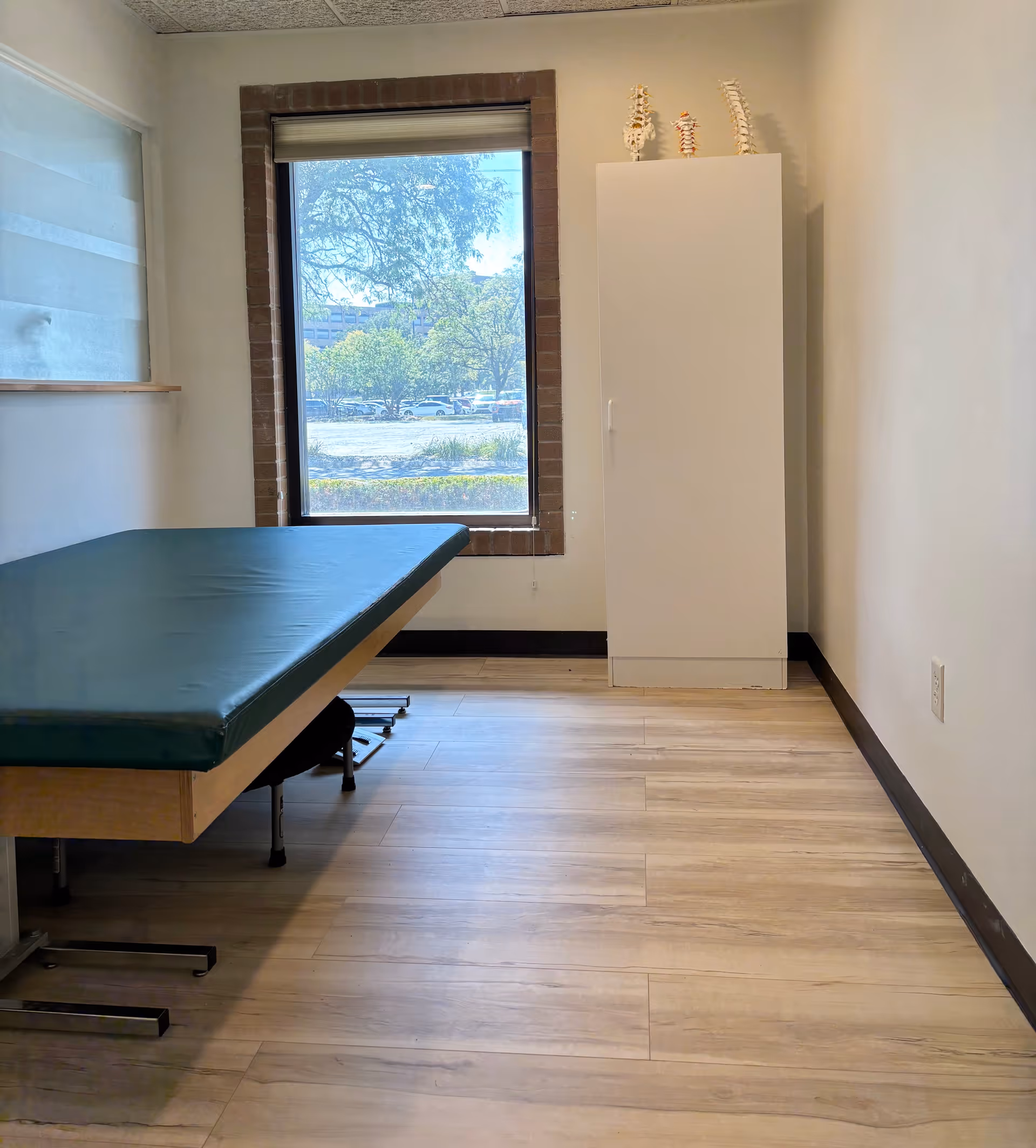 A small therapy room with a padded exam table, white cabinet, spine models, and window.