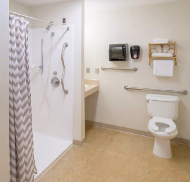Accessible bathroom with a walk-in shower (chevron curtain) and multiple grab bars, a toilet with safety rails, sink area, paper towel dispenser and towel rack.