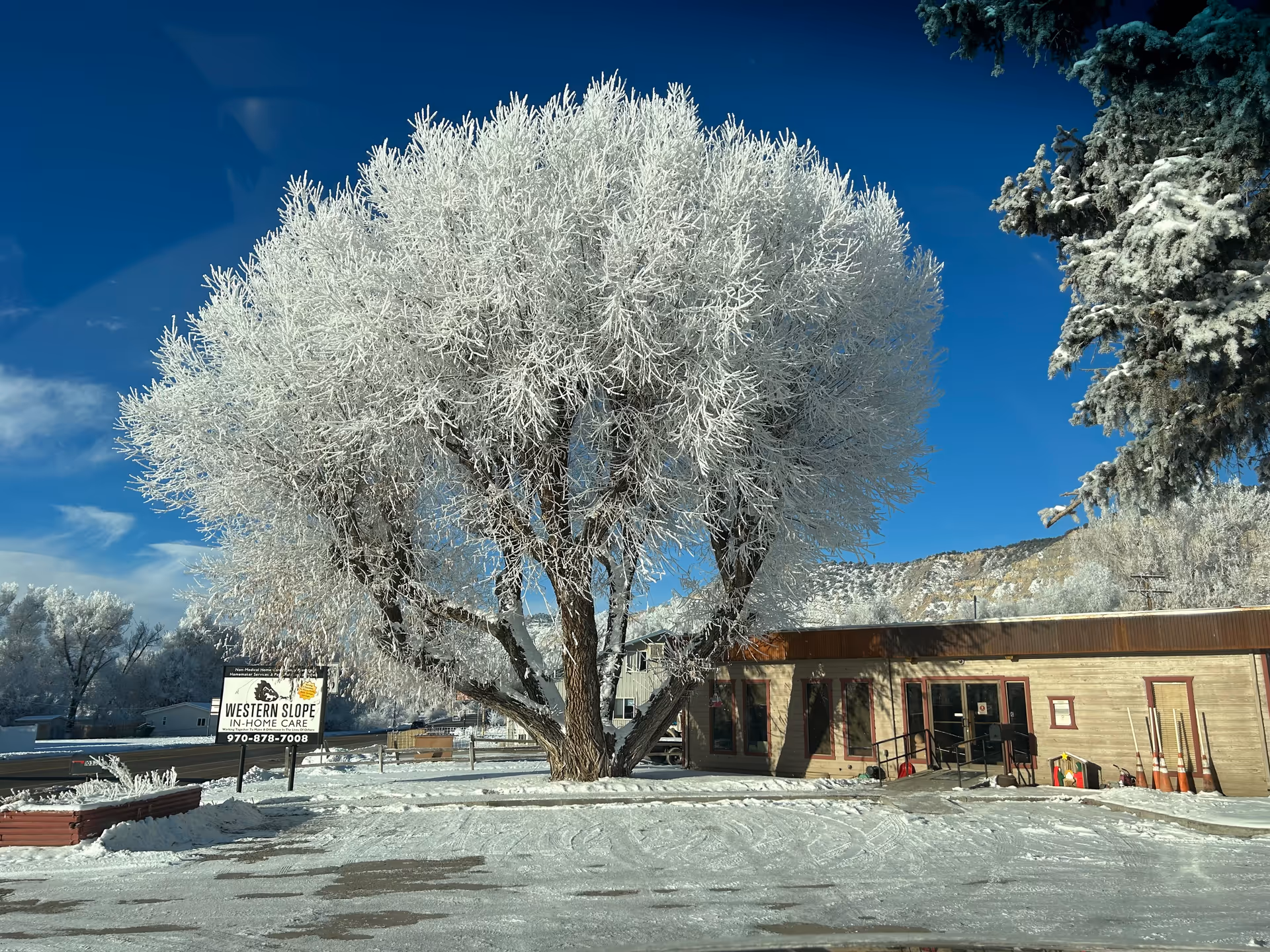 Snow-covered tree in front of Western Slope In Home Care building on a sunny day