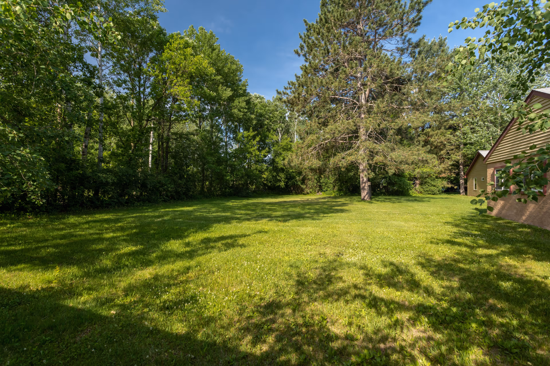 Sunlit grassy yard with trees and a brick building along the right edge.