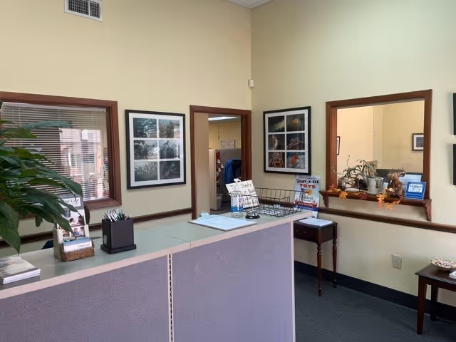 Reception desk area with framed art, plants, brochures, and a doorway to offices.