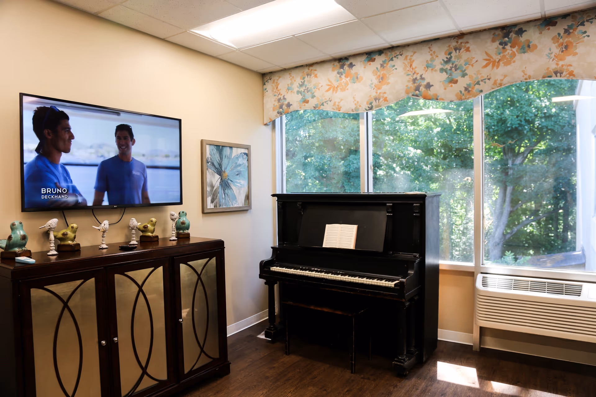 An interior room featuring a black piano by a large window, TV, and decorative figurines.