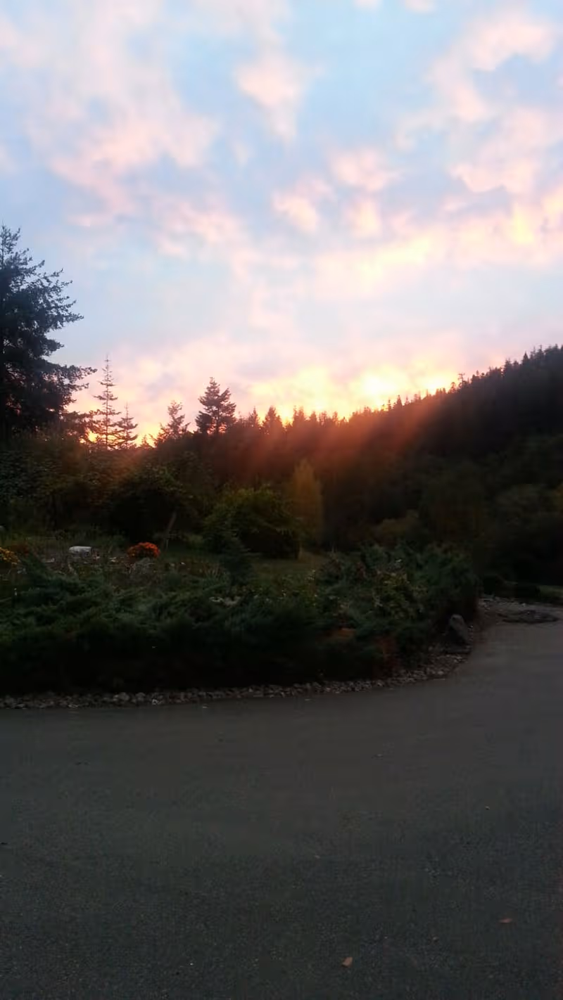 Sunset over a landscaped garden with trees, shrubs, and a winding path.